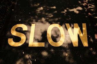 A close up of a street sign with trees in the background