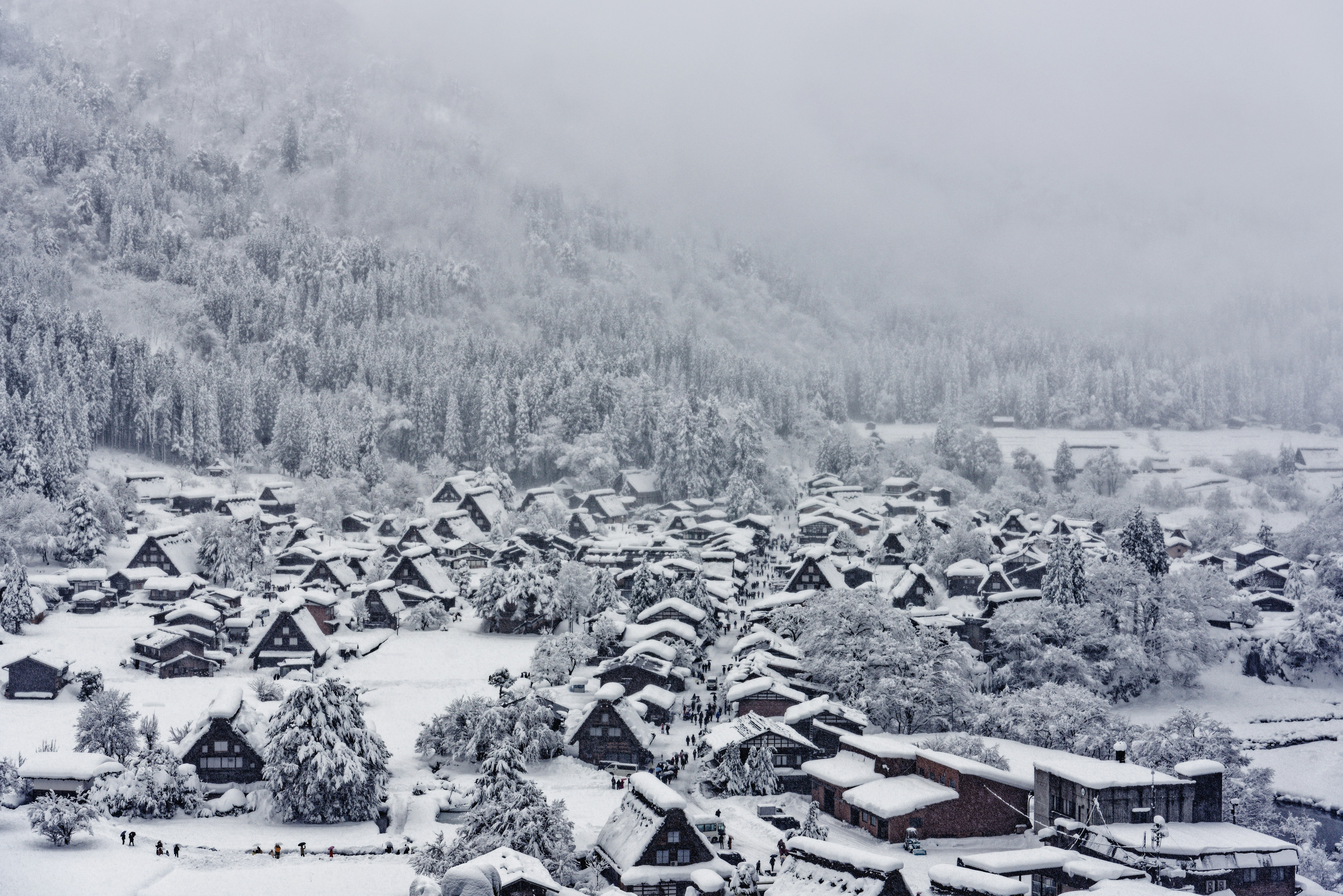Japan Winter Travel Safety: Navigating Icy Trains & Snowy Roads