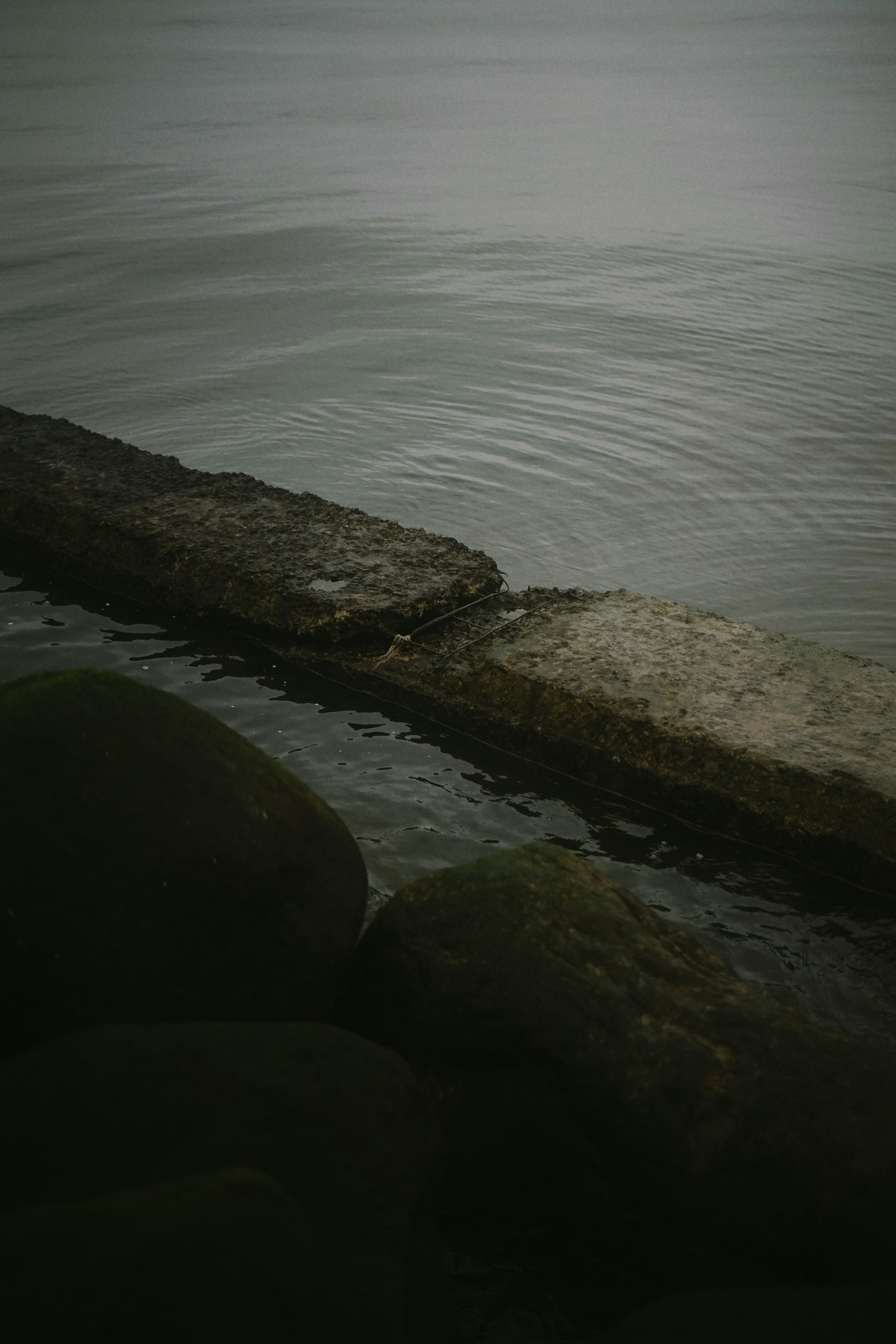 Photo by ansisansis