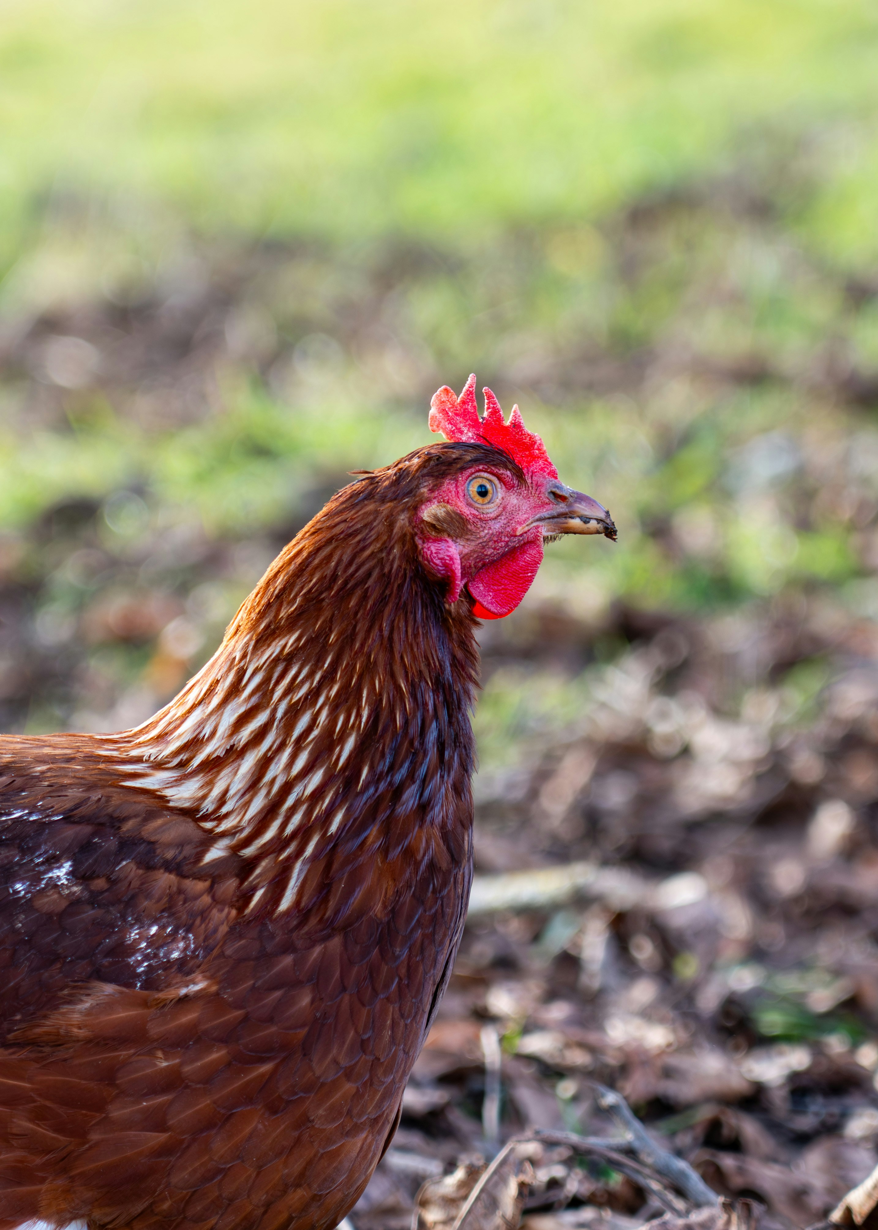 Photo by nathan030997