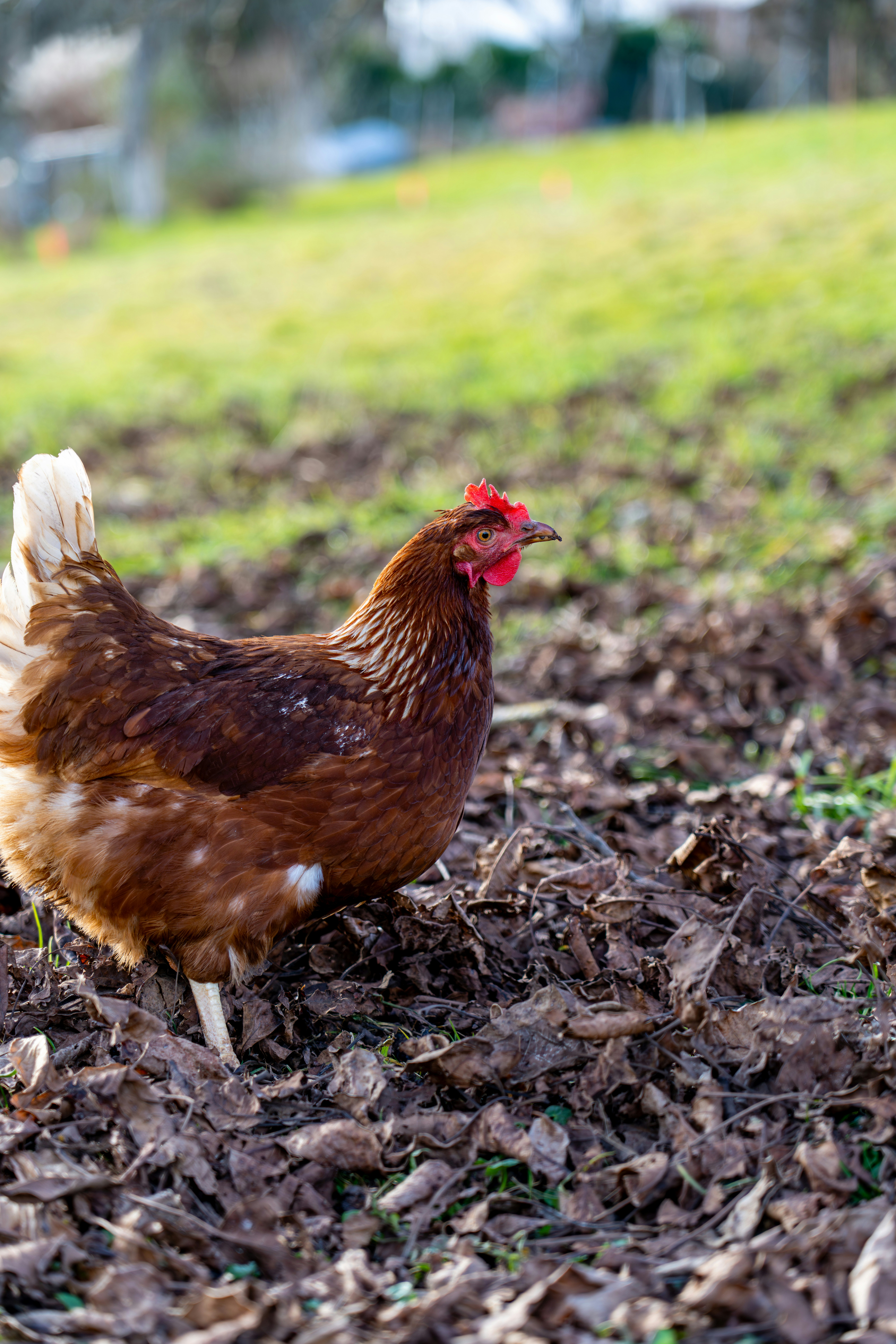 Photo by nathan030997