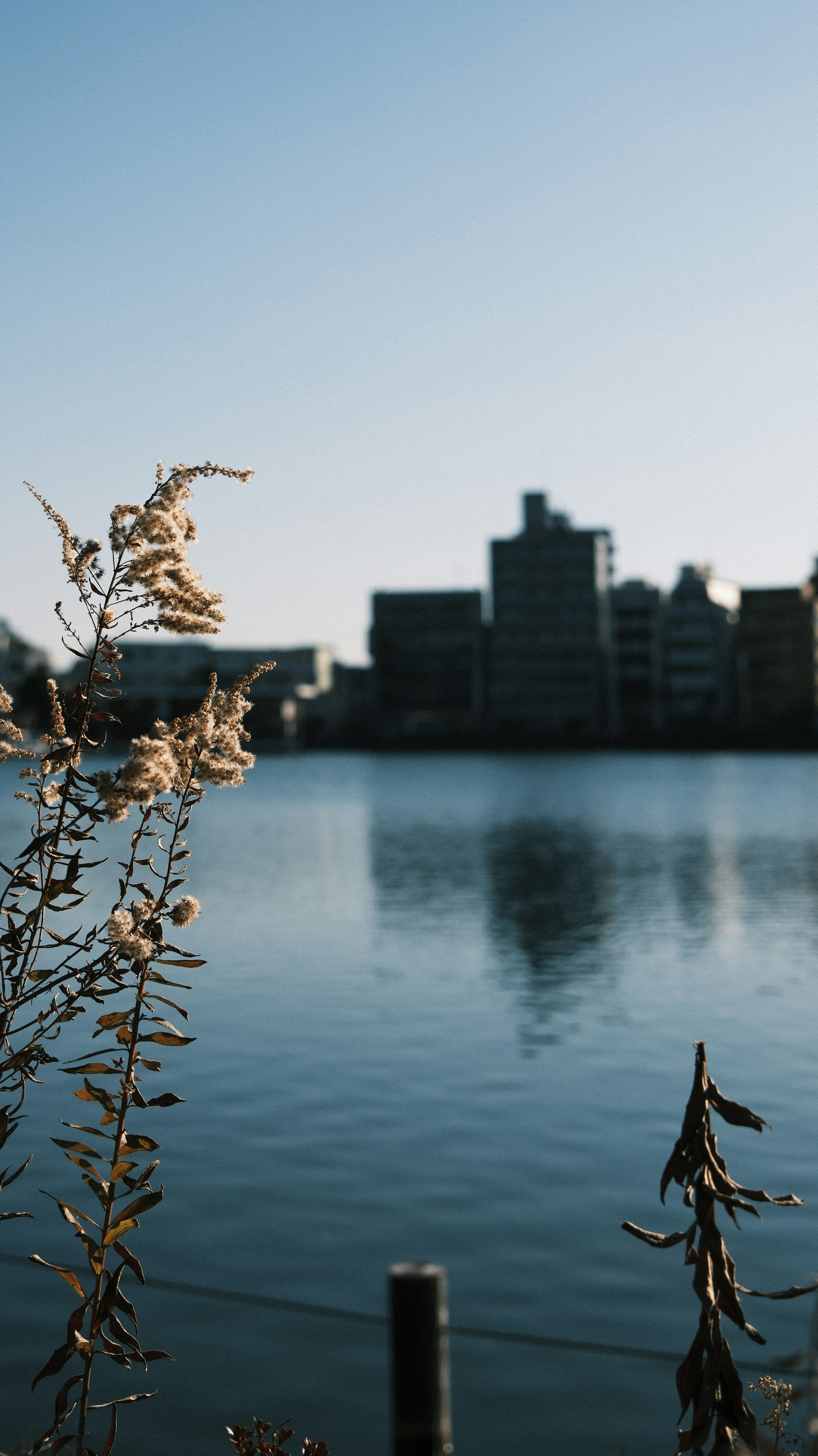 Direct Booking vs OTAs: A Practical Comparison for Savvy Travelers