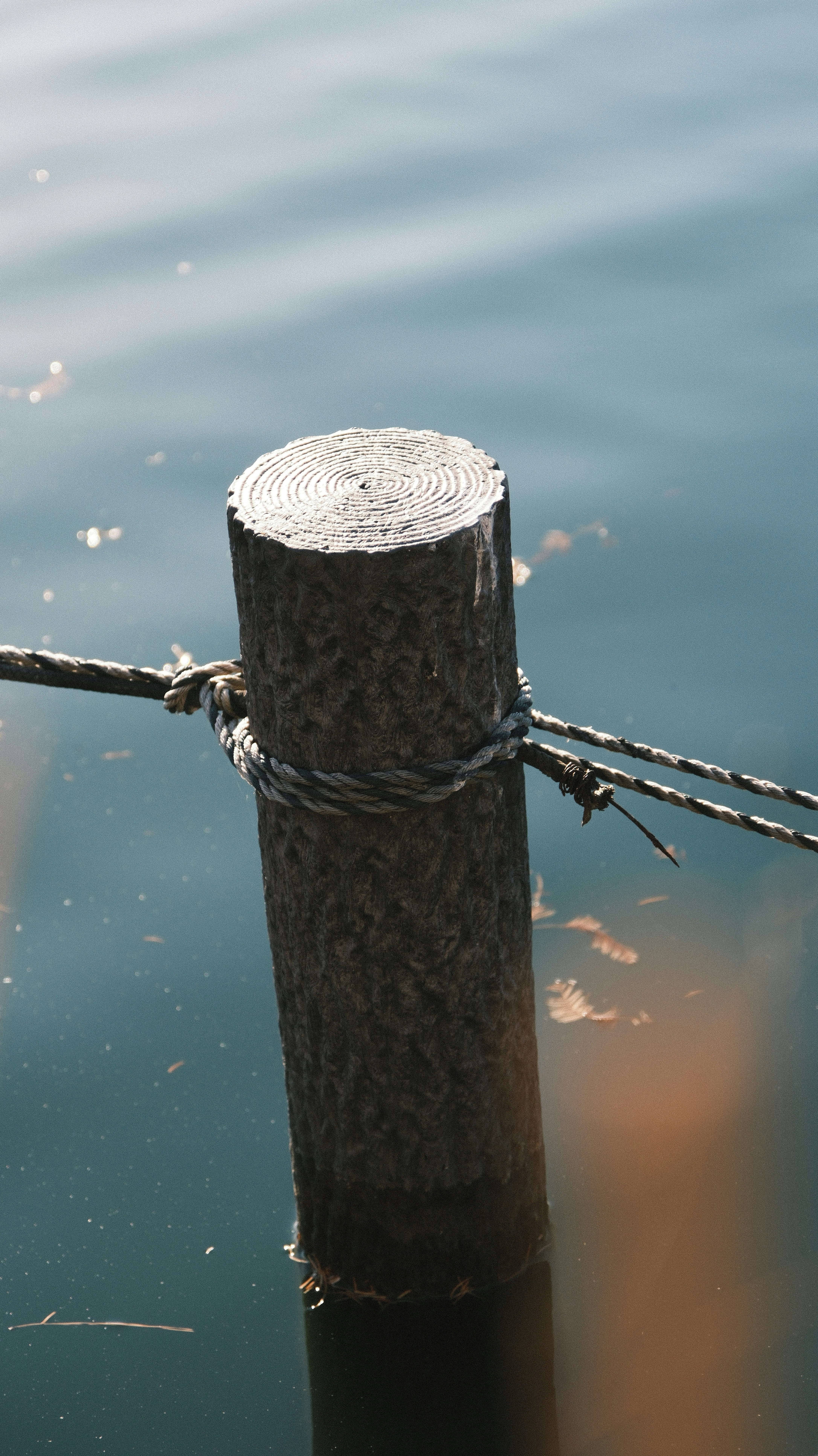 A wooden post in the middle of a body of water