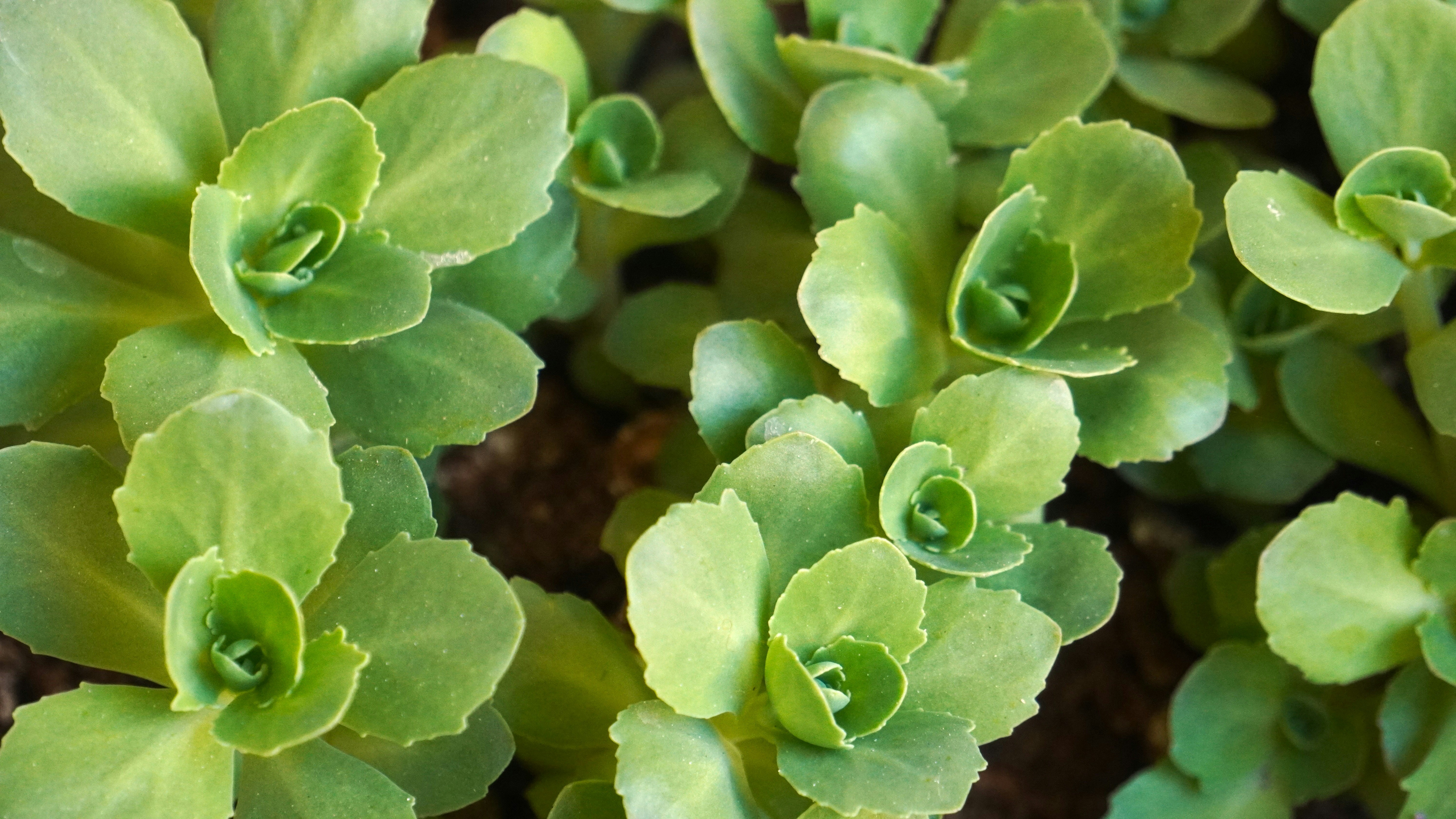 Photo by aditipanatu95