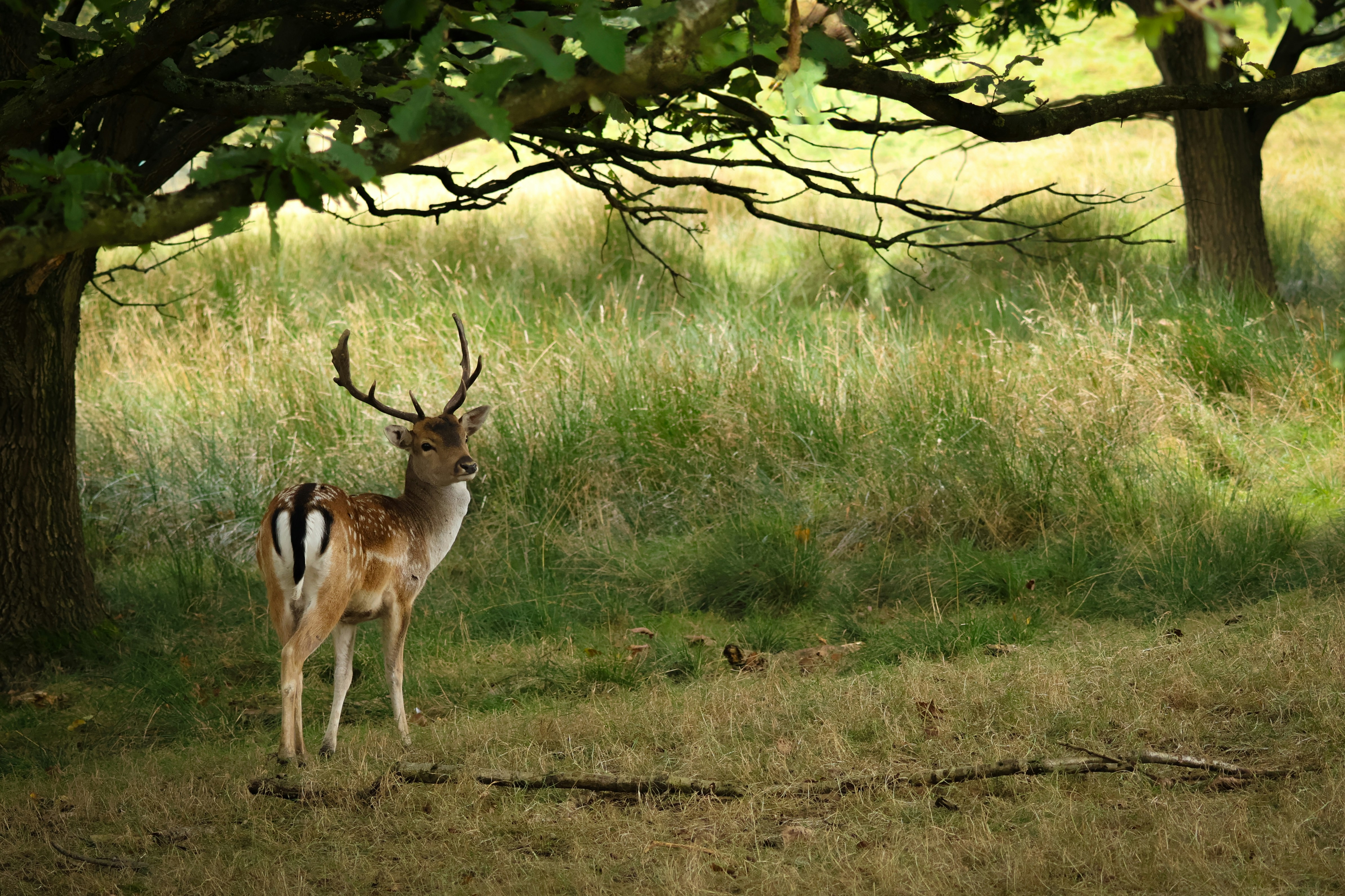 Photo by lucyamelia1