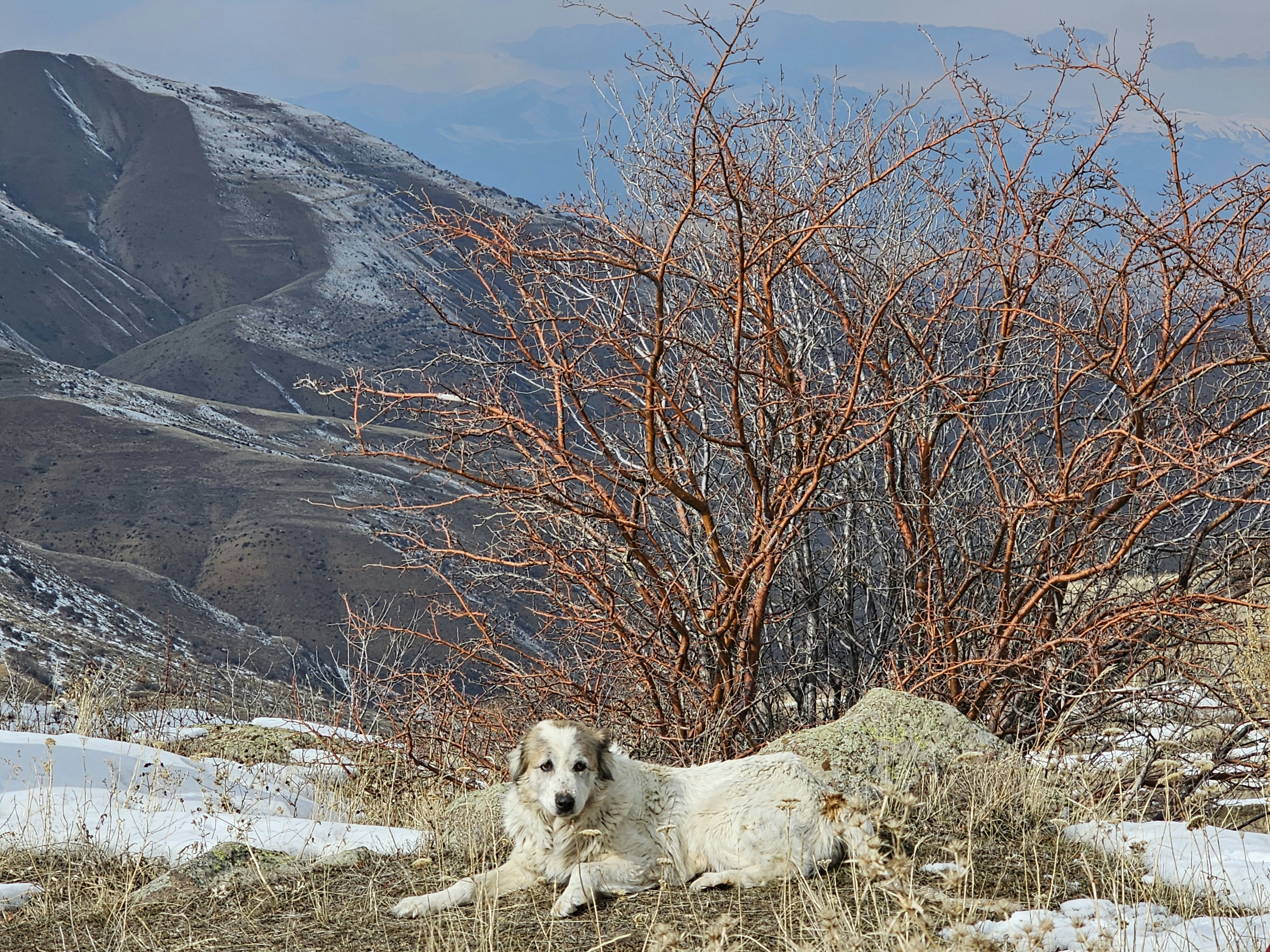 Photo by zvart