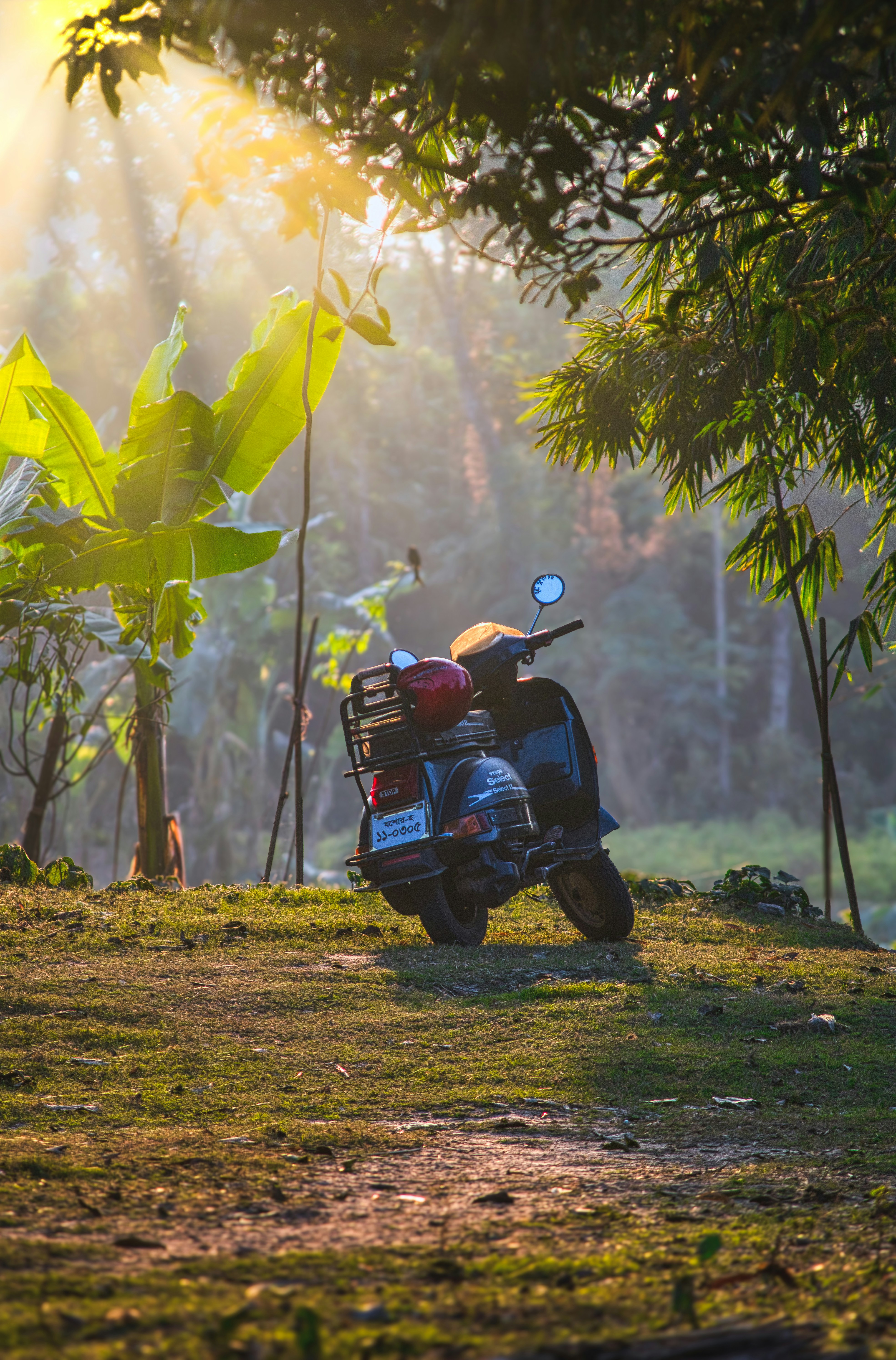 Photo by tanvirahmed2232