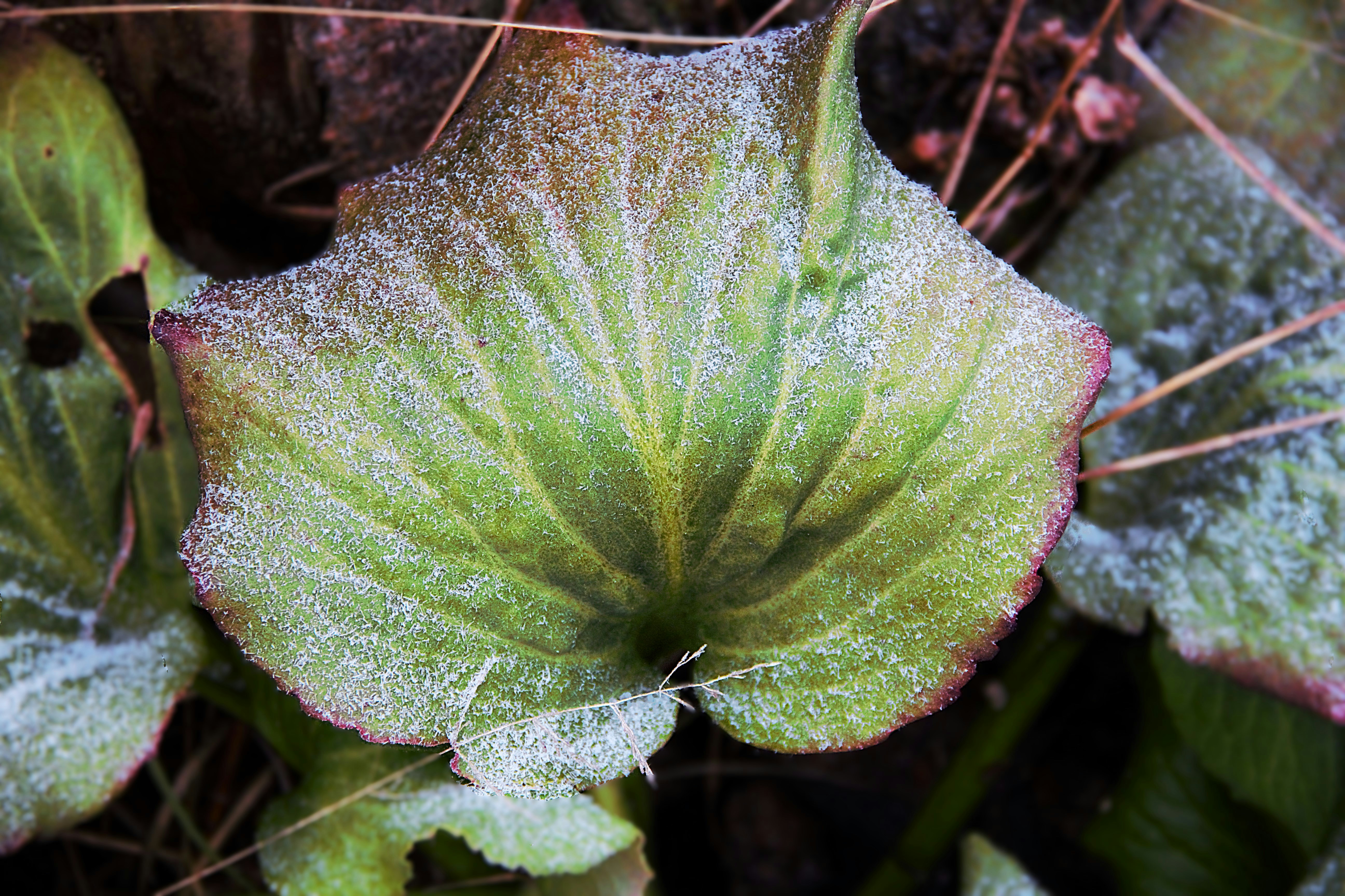 Photo by aline_li_varen