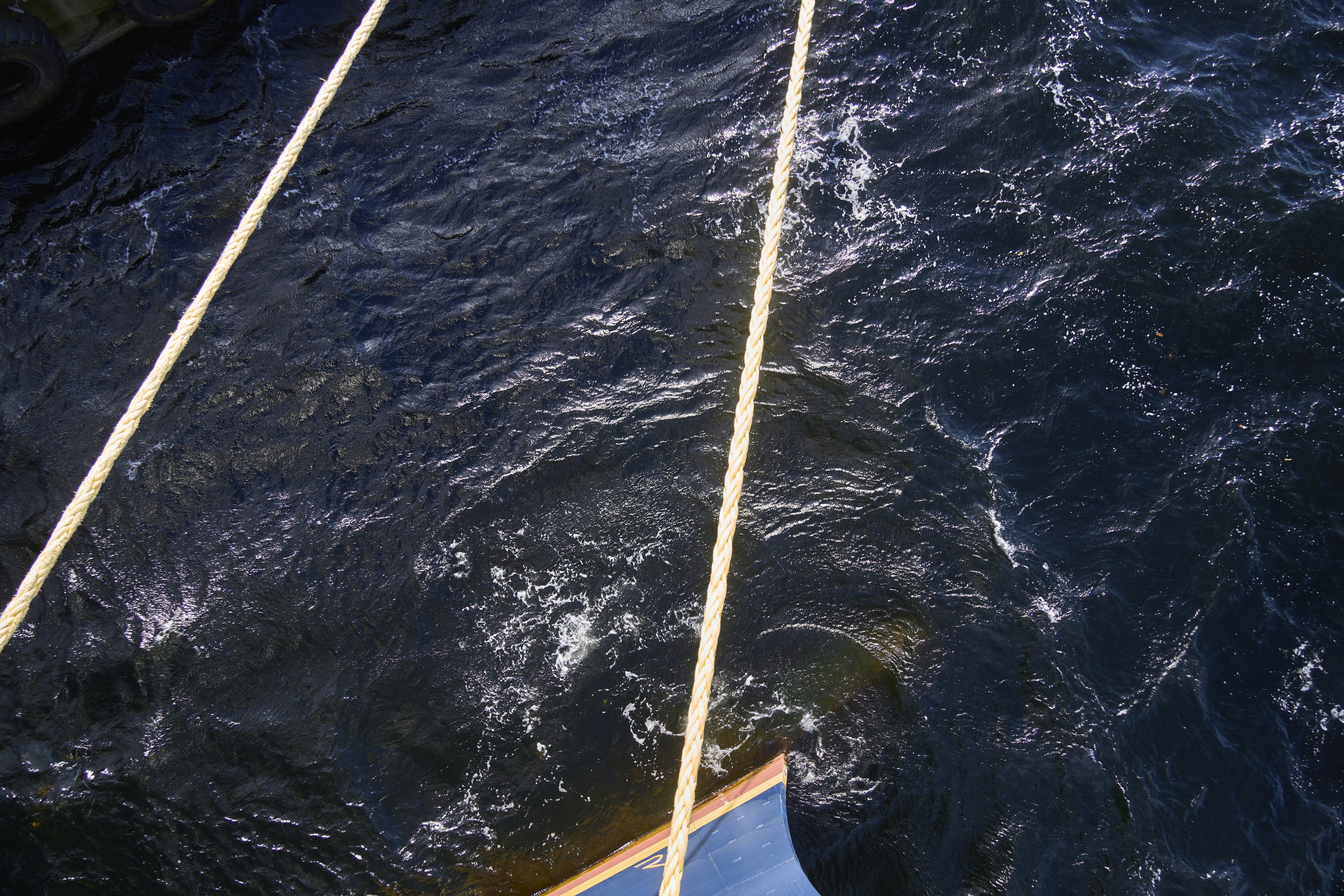 Photo by wolfgang_hasselmann