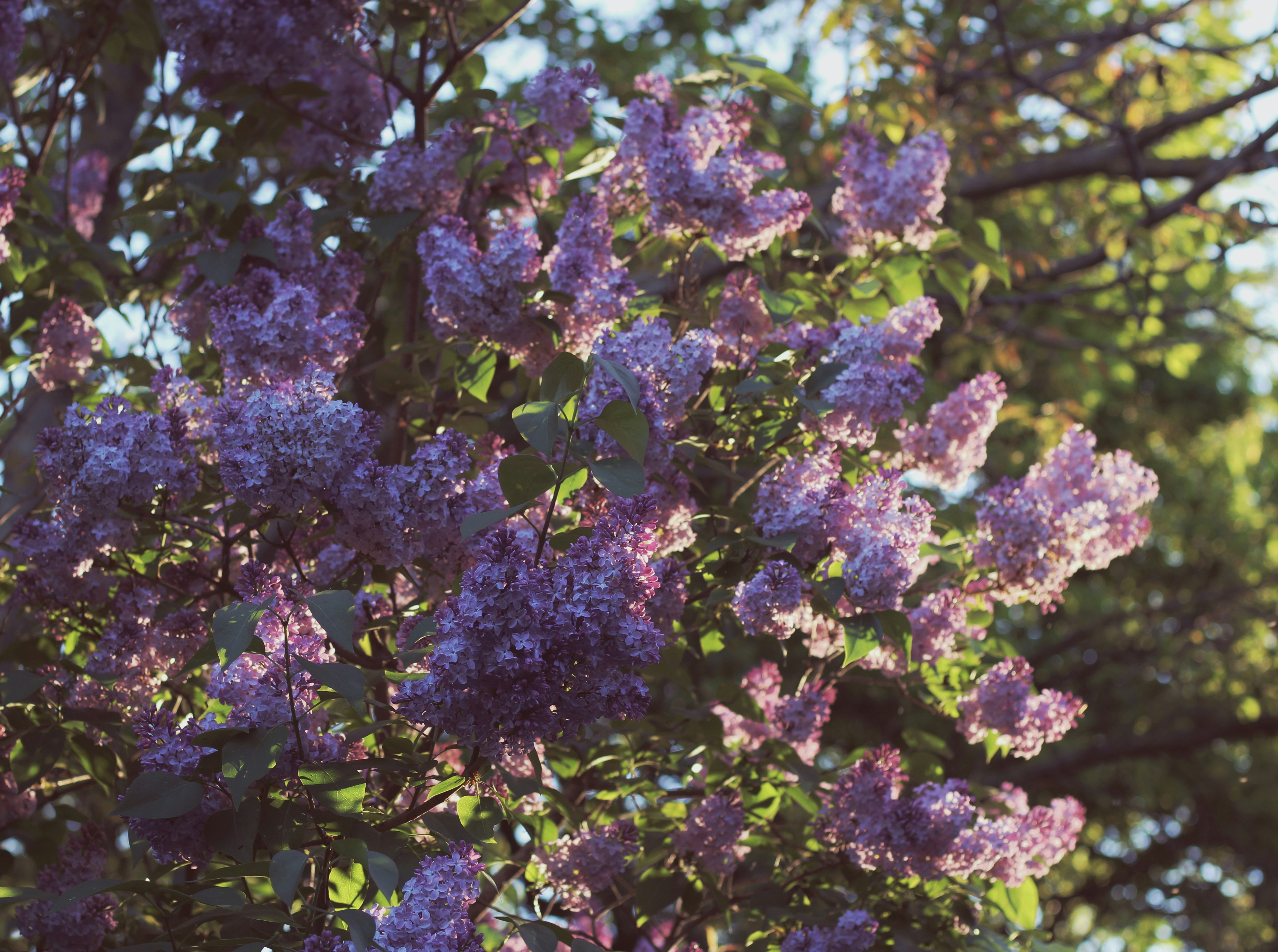 Photo by mineral_of_demon