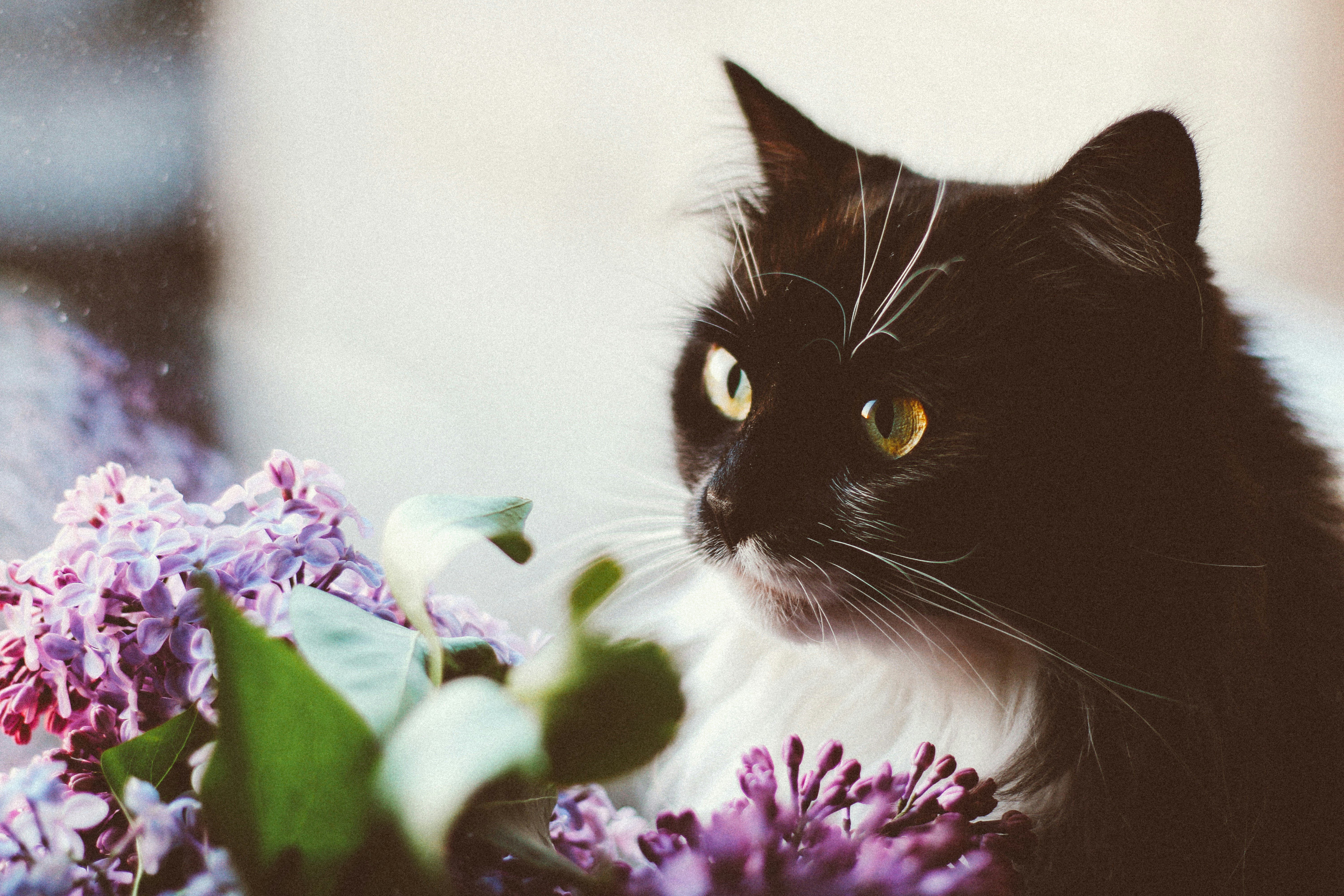 Photo by mineral_of_demon