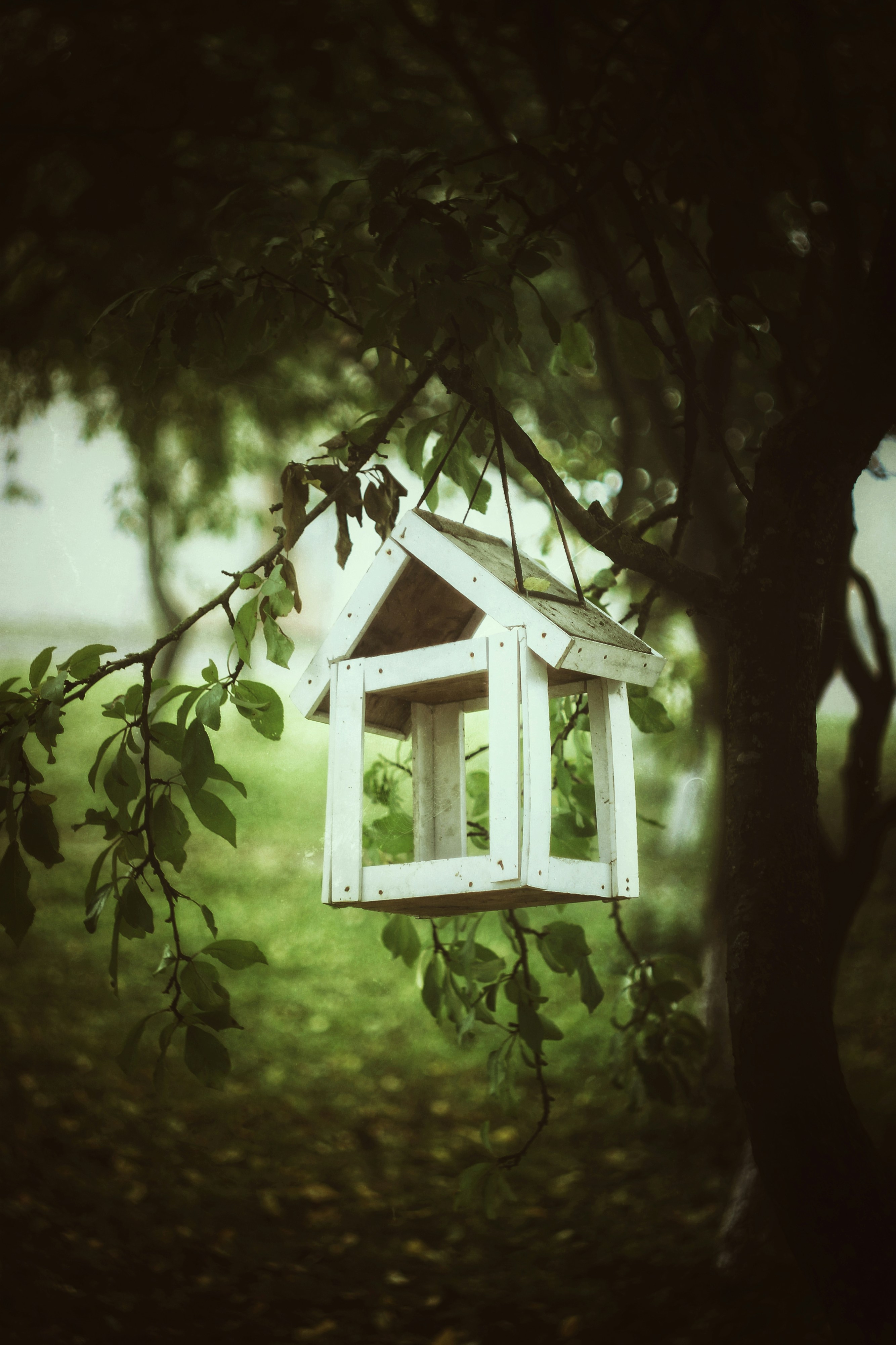 Photo by mineral_of_demon