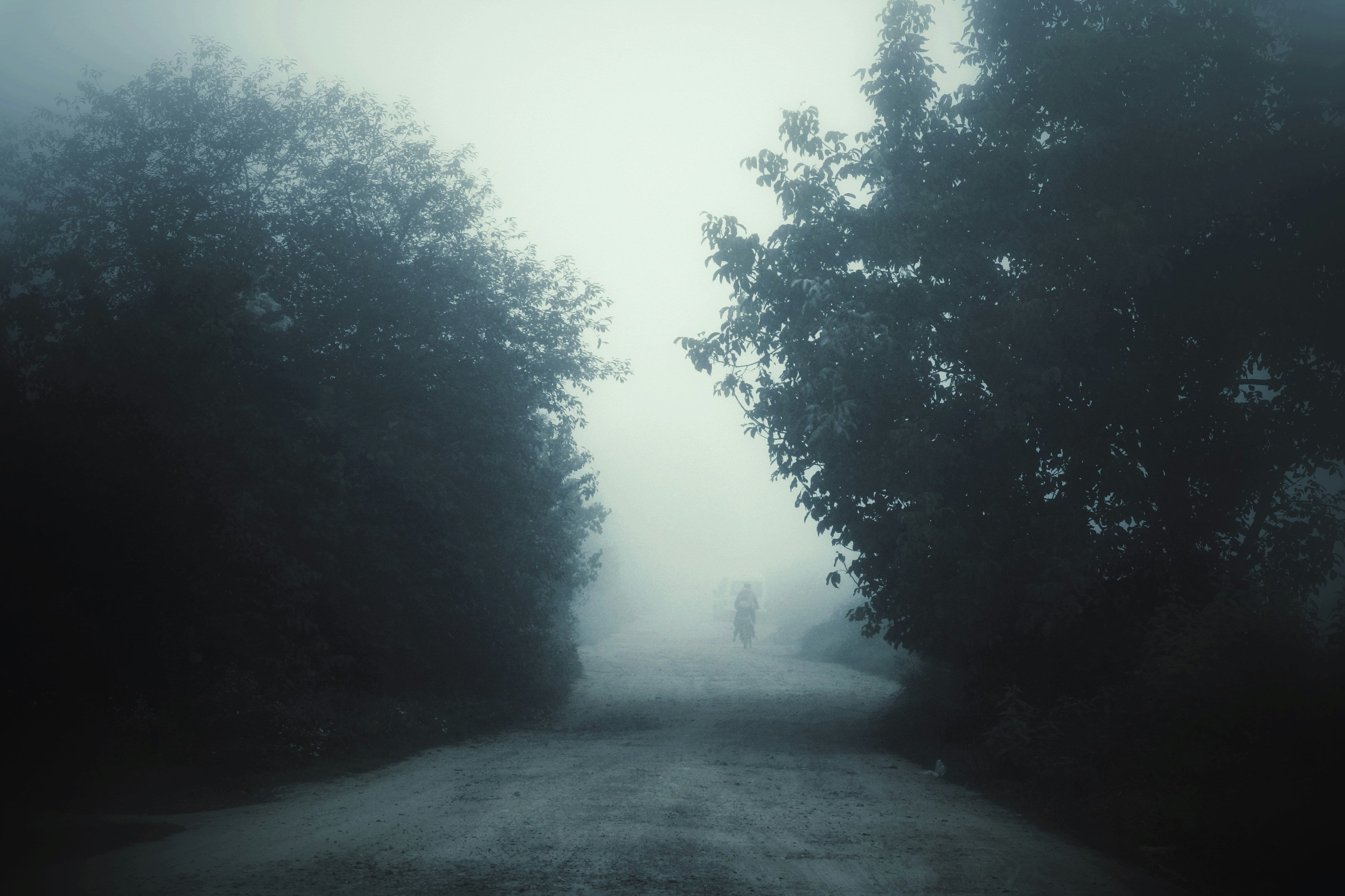 Photo by mineral_of_demon