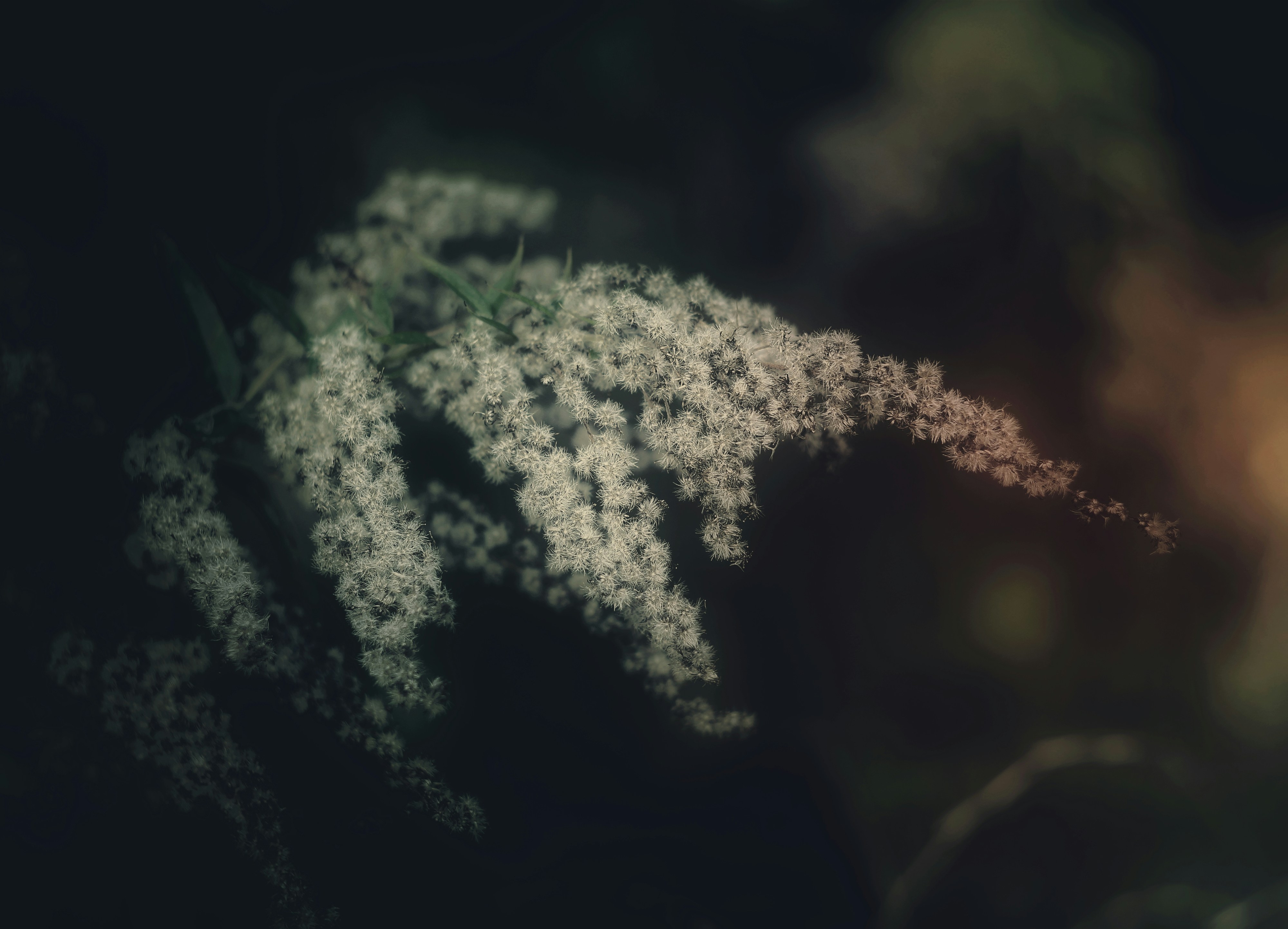 Photo by mineral_of_demon