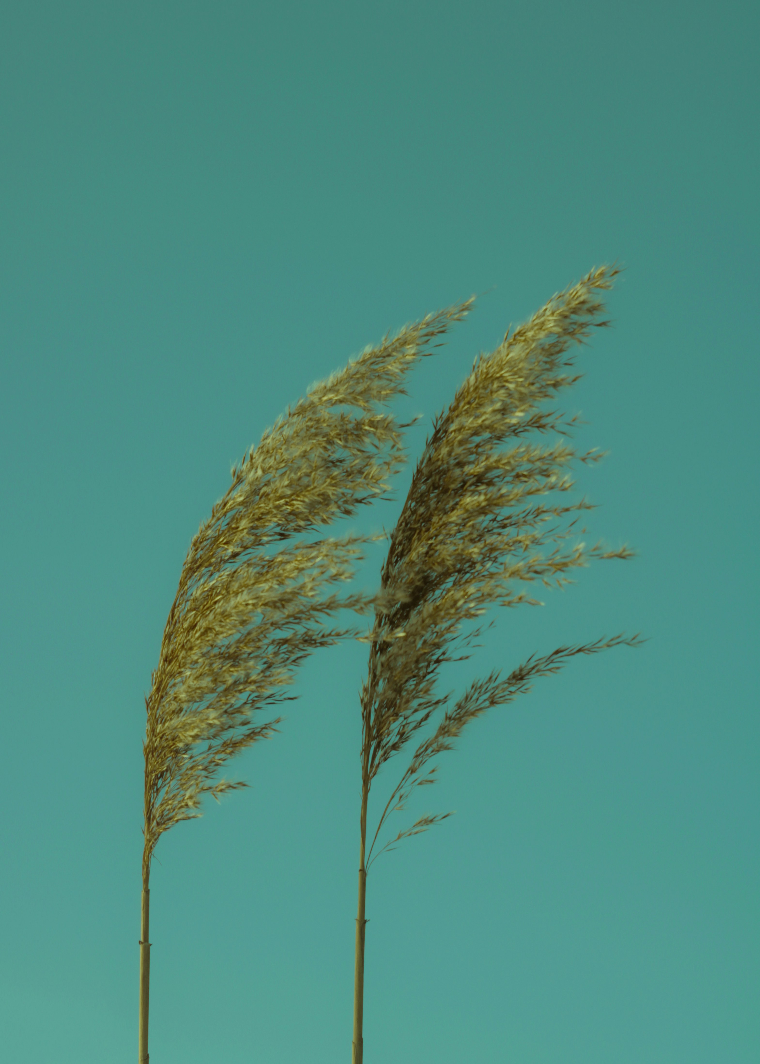 Photo by mineral_of_demon