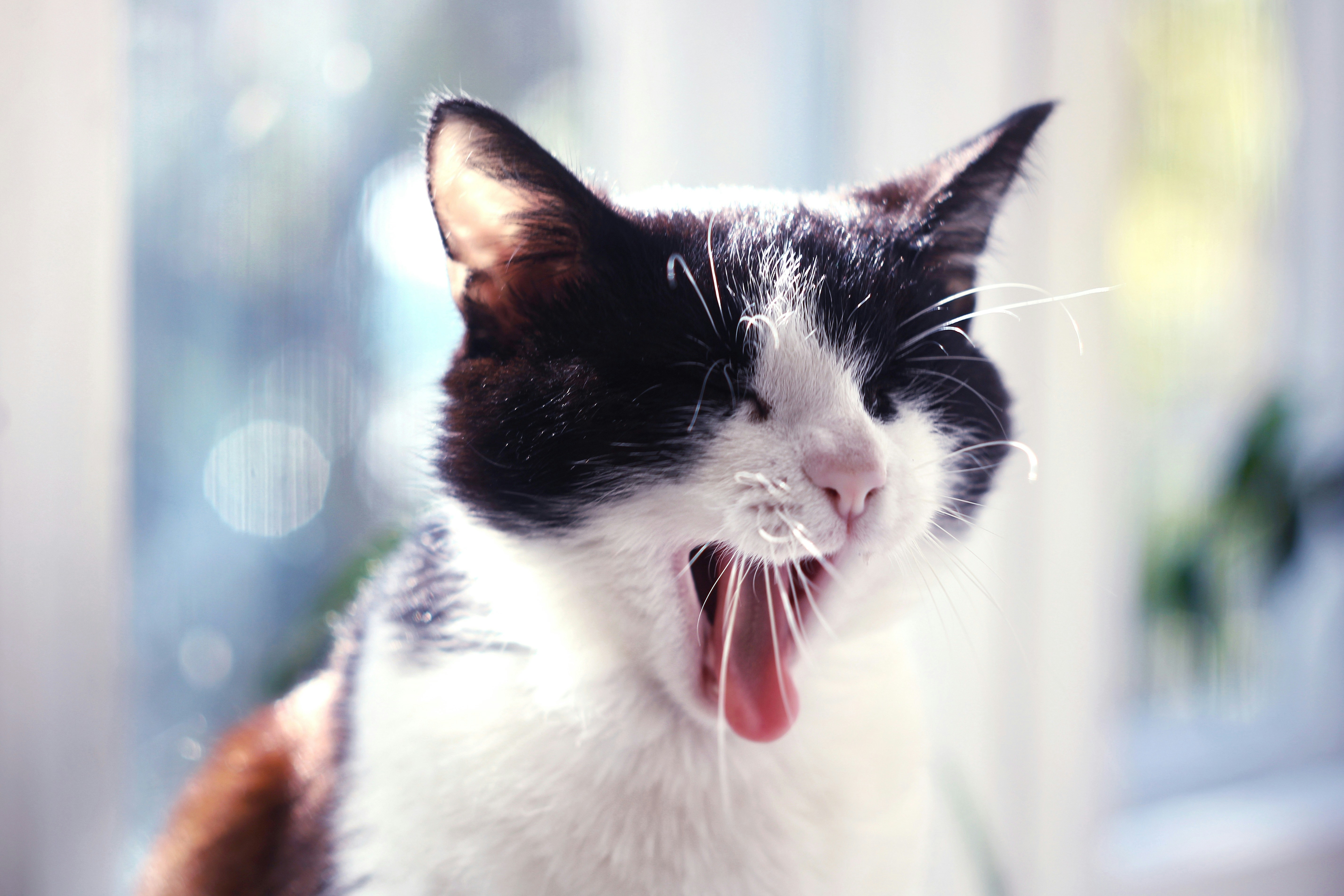 Photo by mineral_of_demon