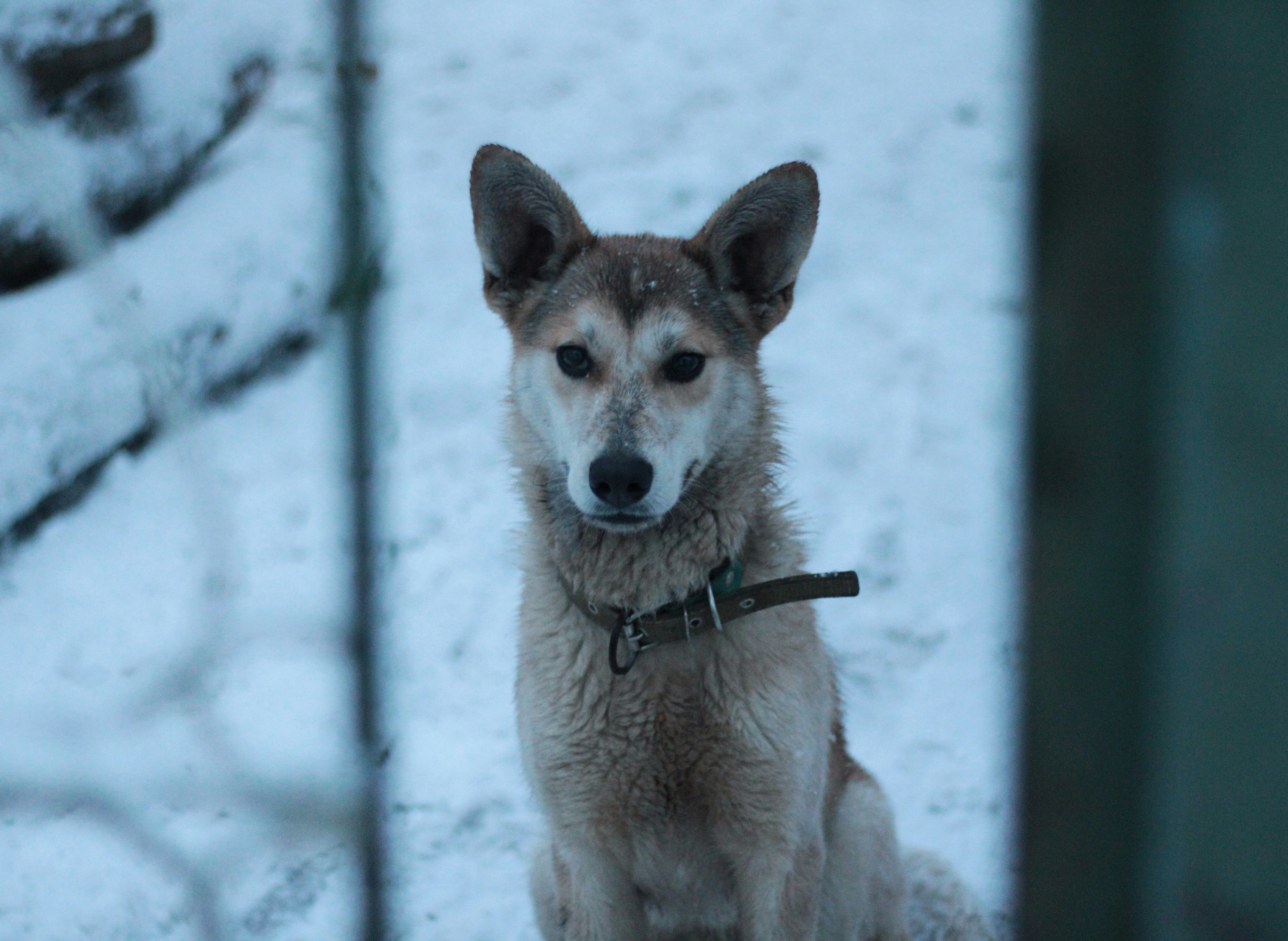 Photo by mineral_of_demon