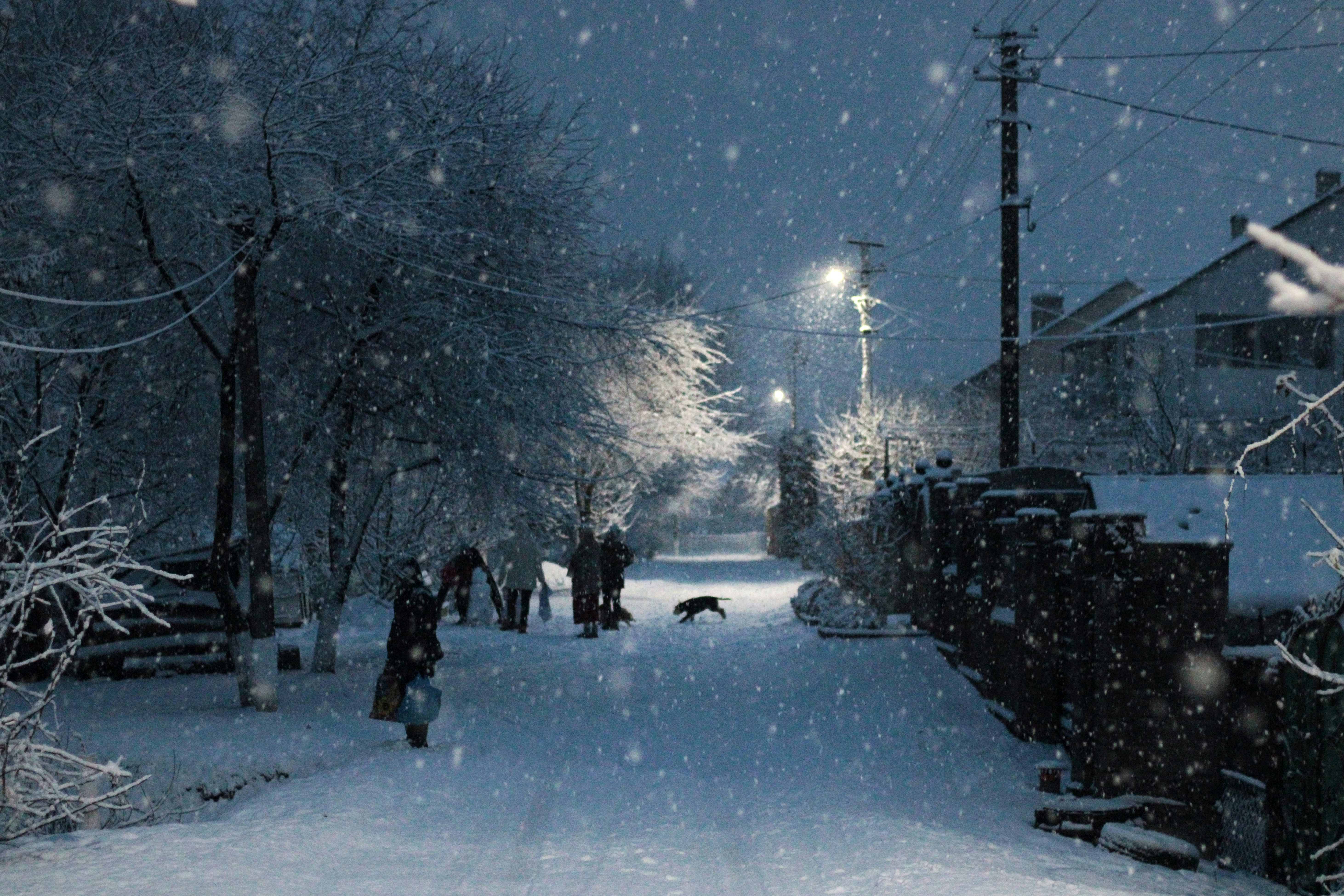 Photo by mineral_of_demon