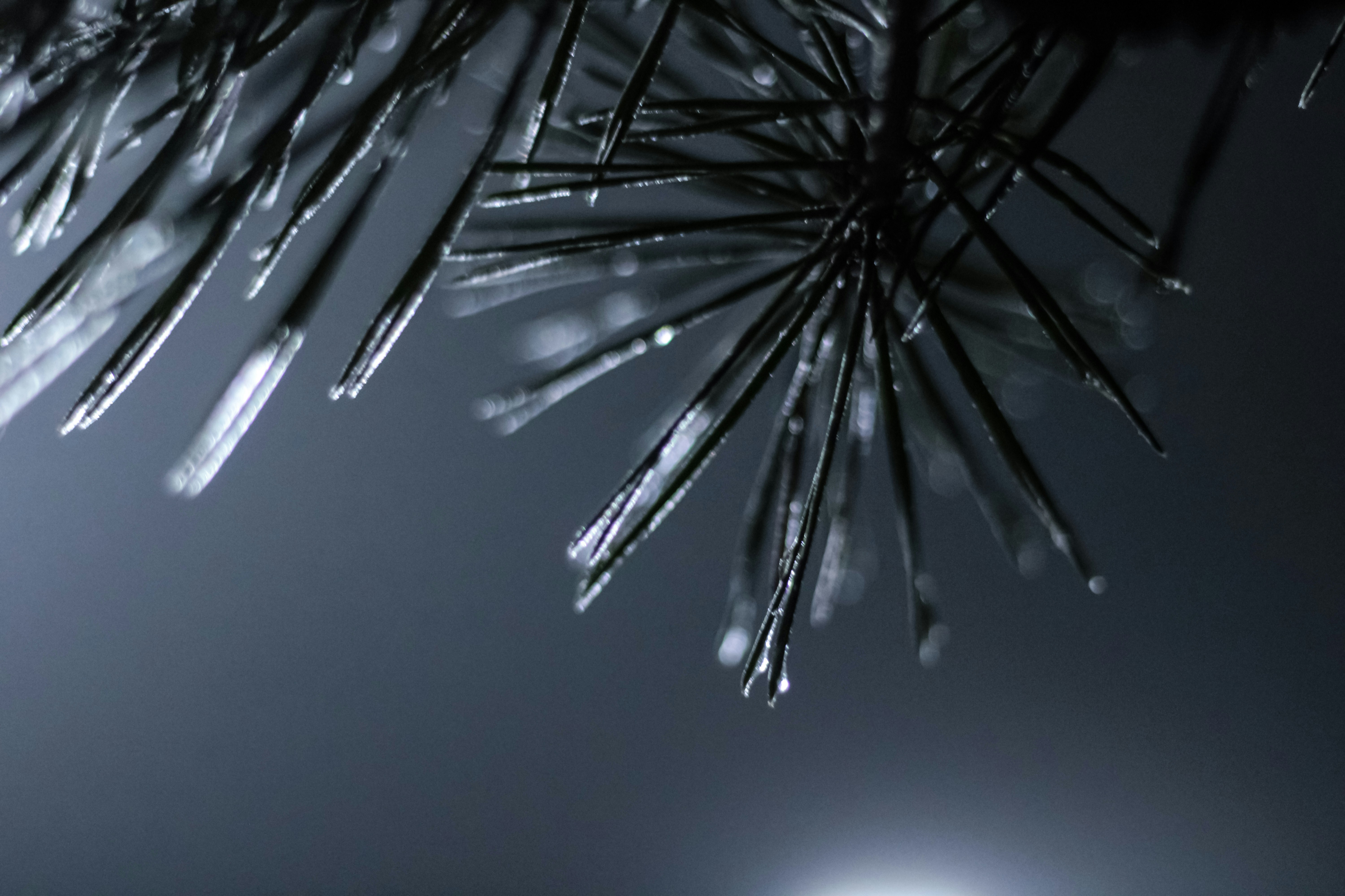 Photo by mineral_of_demon