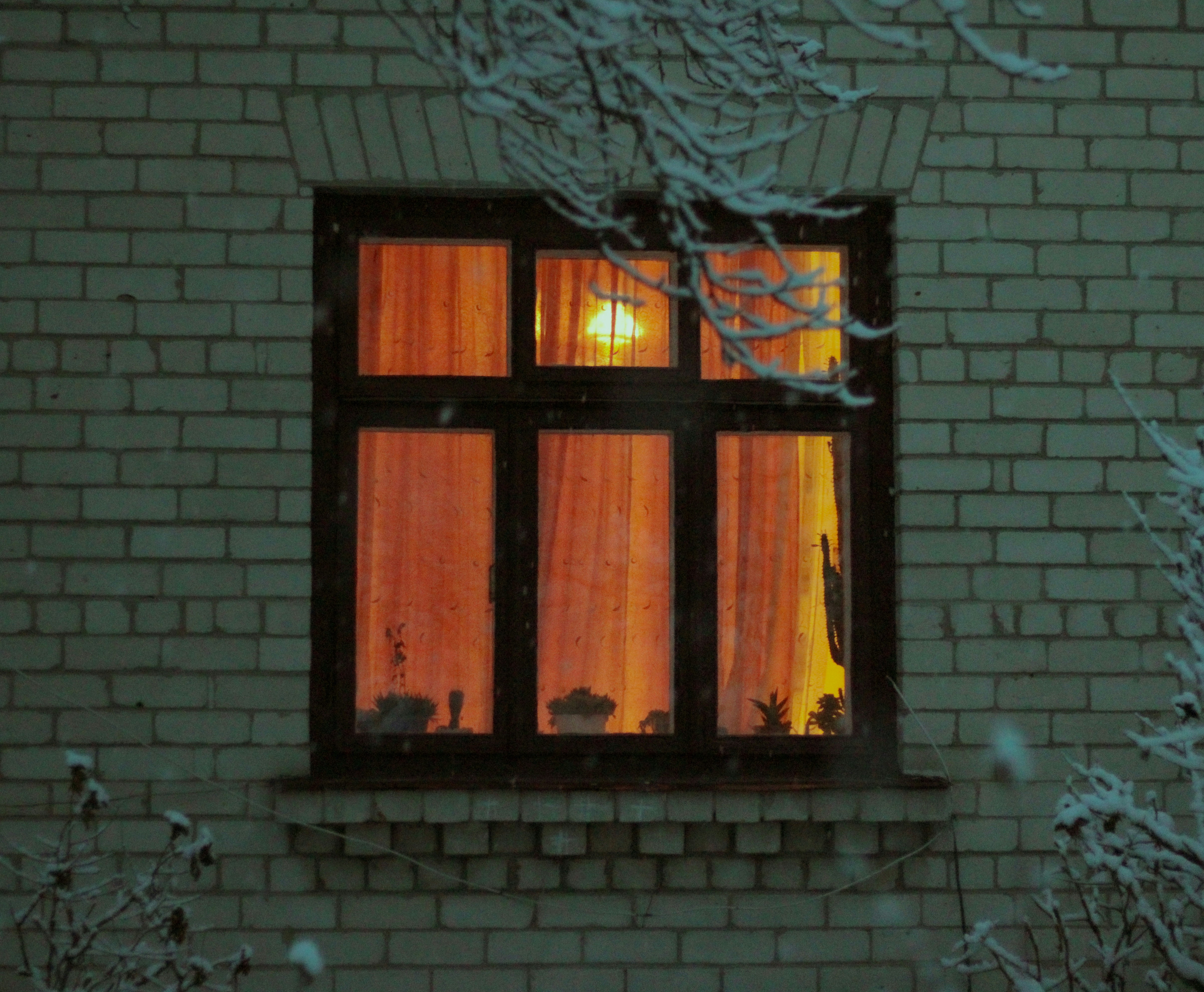 Photo by mineral_of_demon