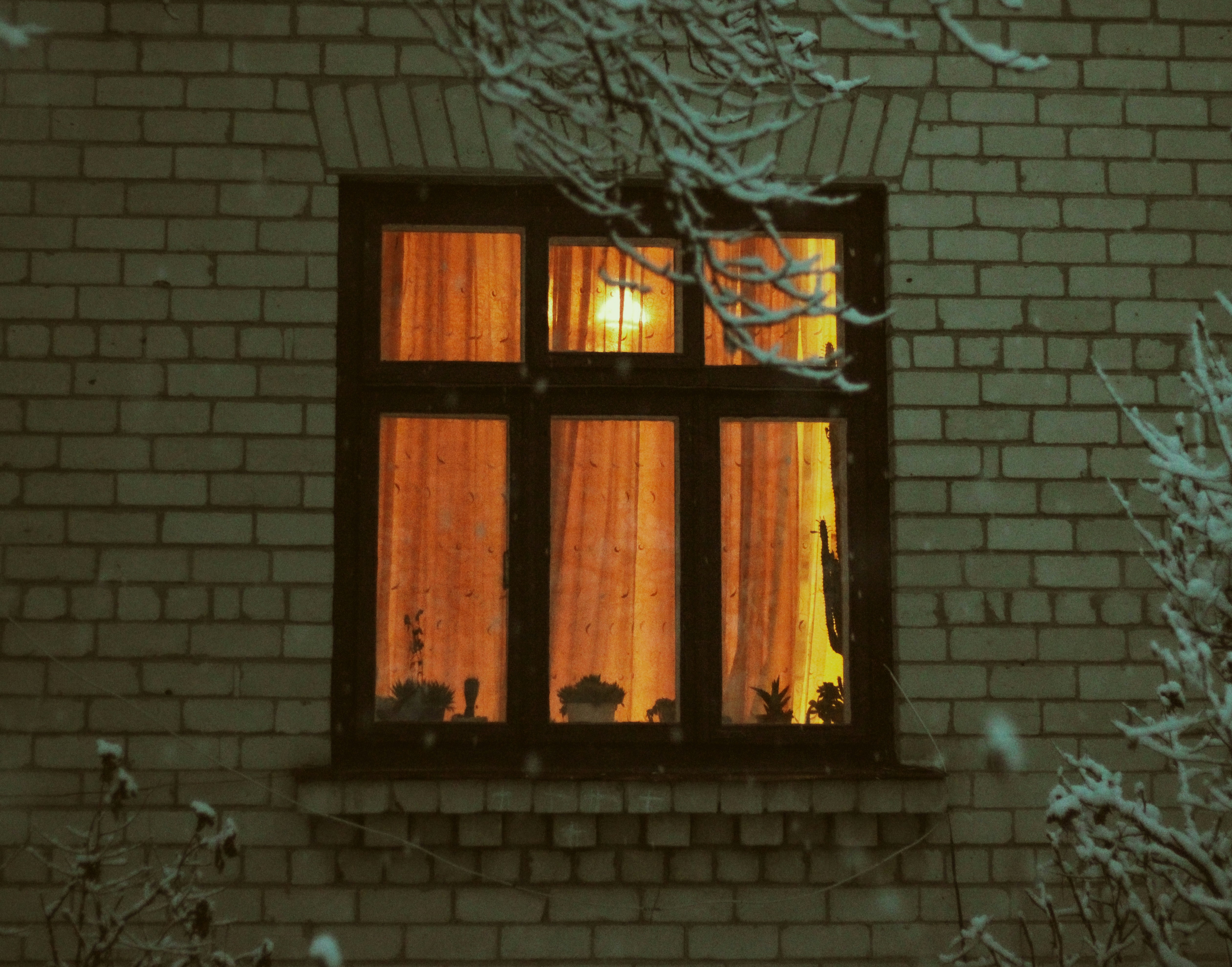 ## 媽呀！廚房水槽竟是細菌炸彈？3招急救！