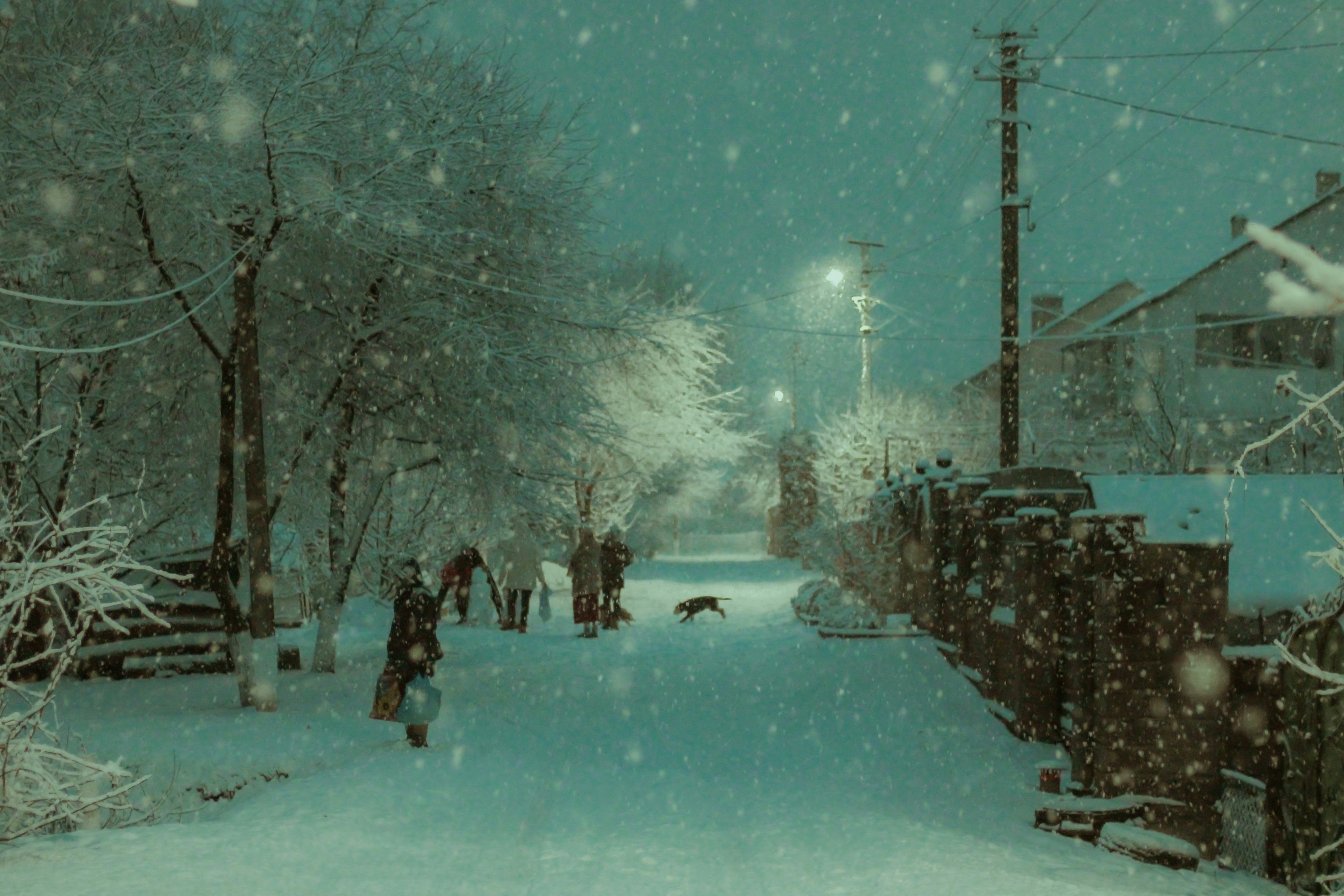 Photo by mineral_of_demon