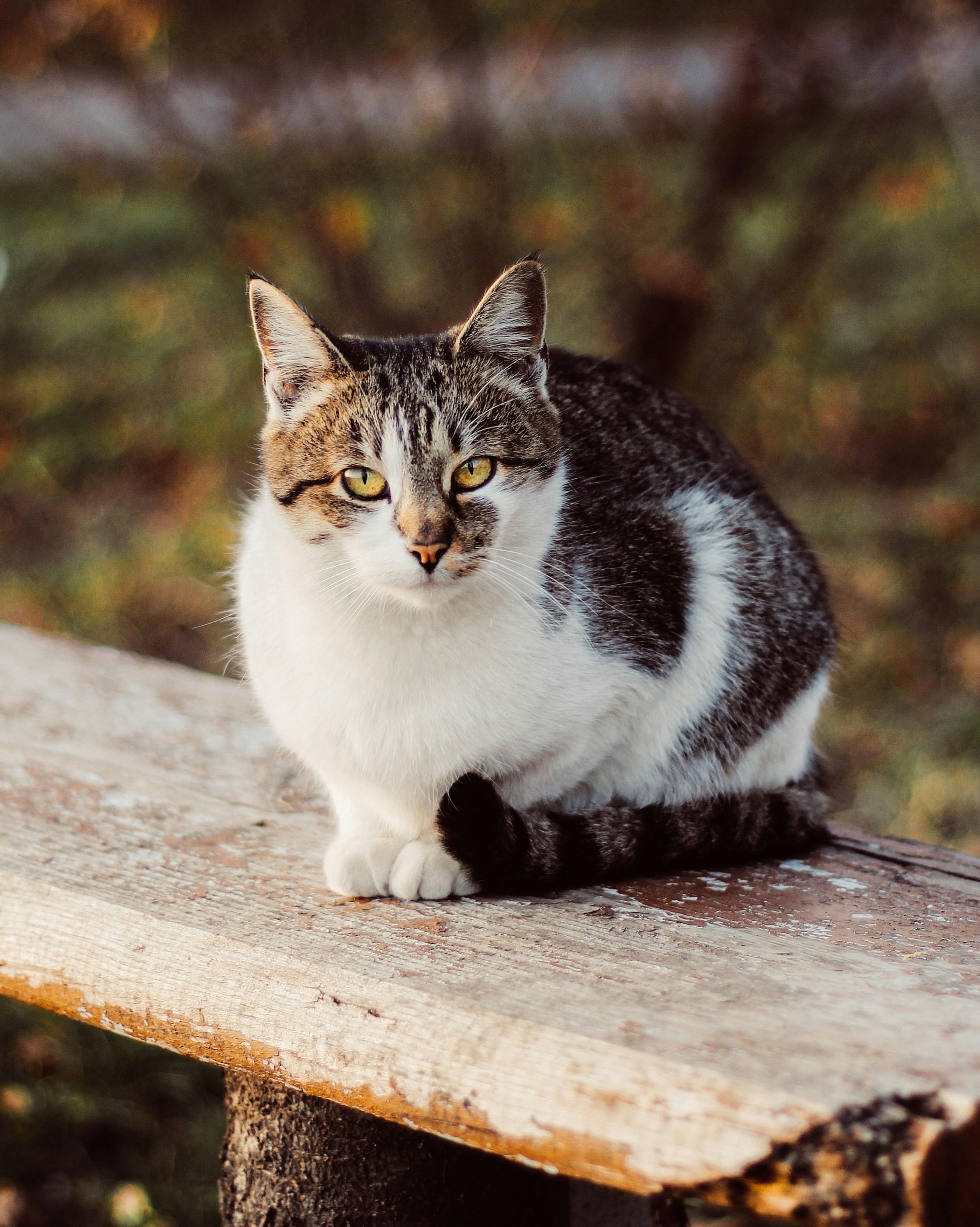 Photo by mineral_of_demon