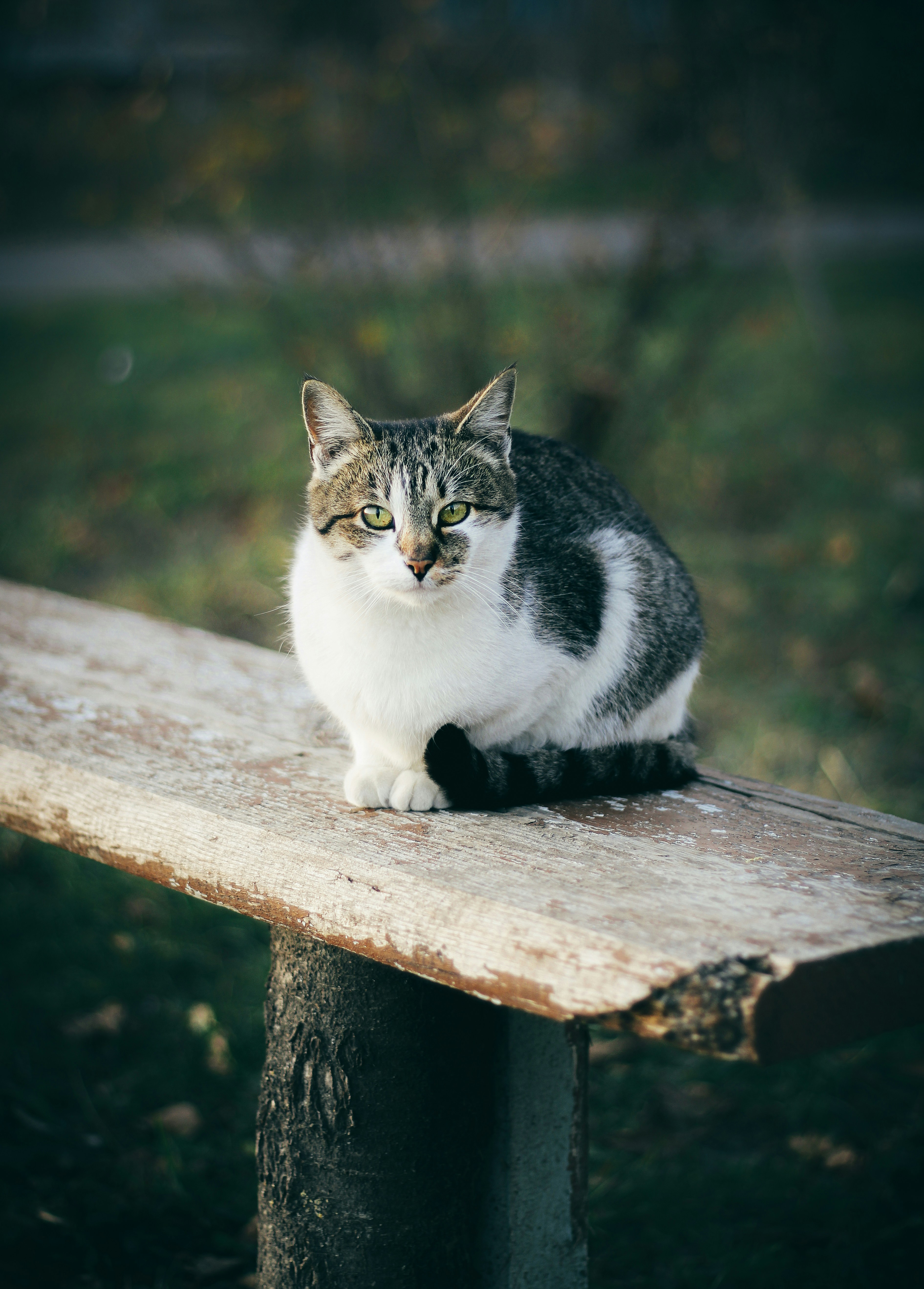 Photo by mineral_of_demon