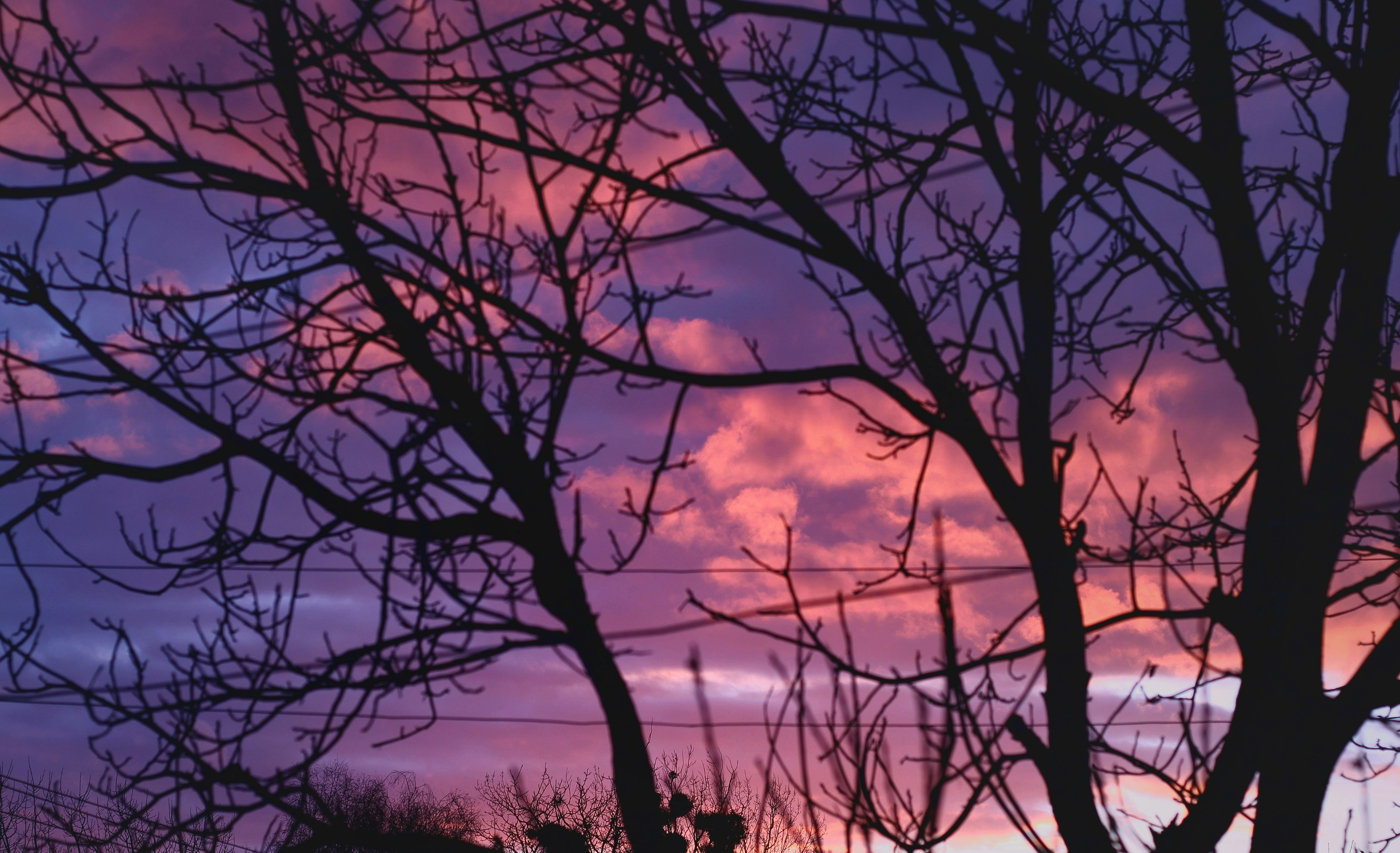 Photo by mineral_of_demon