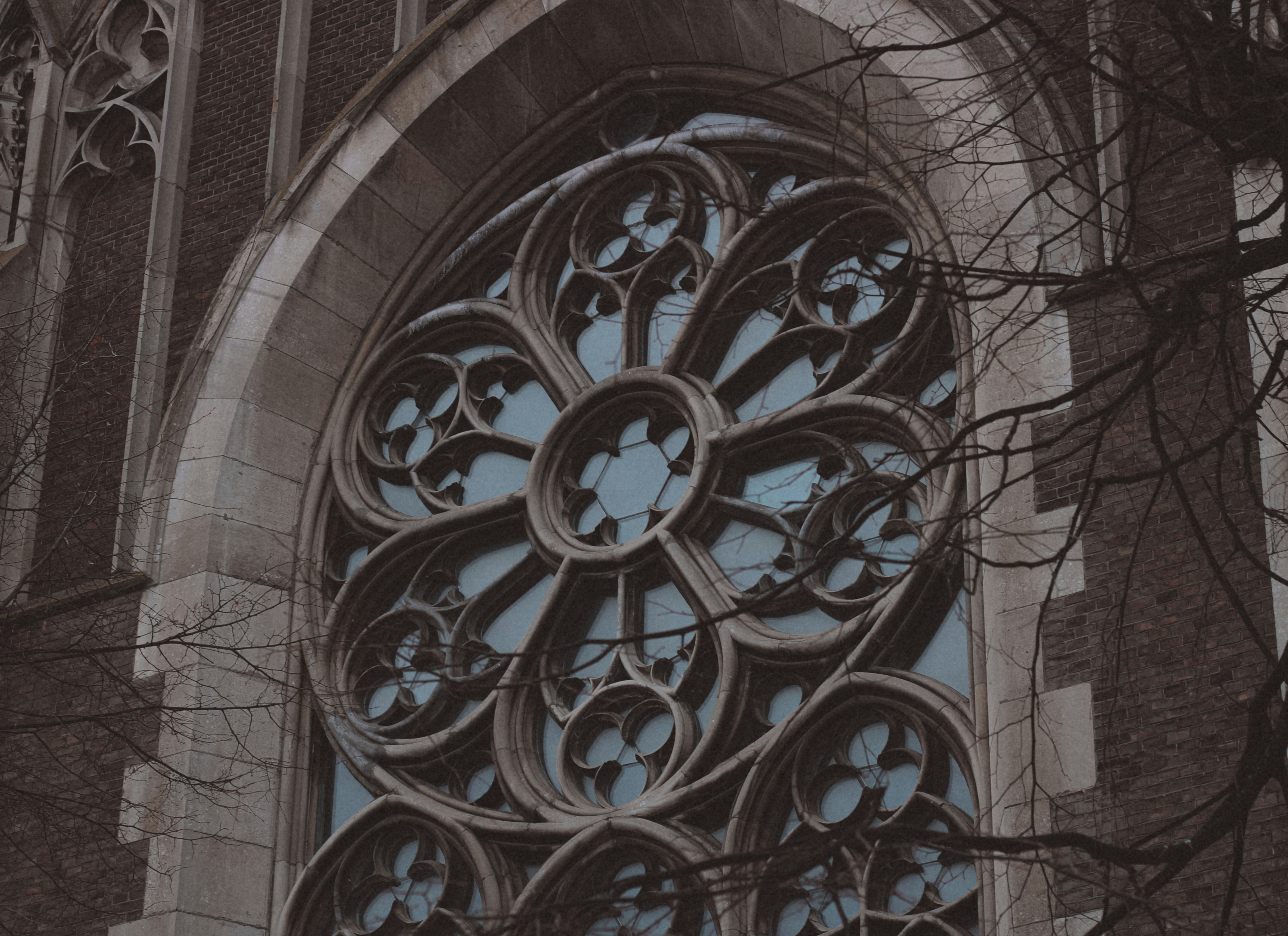 Photo by mineral_of_demon