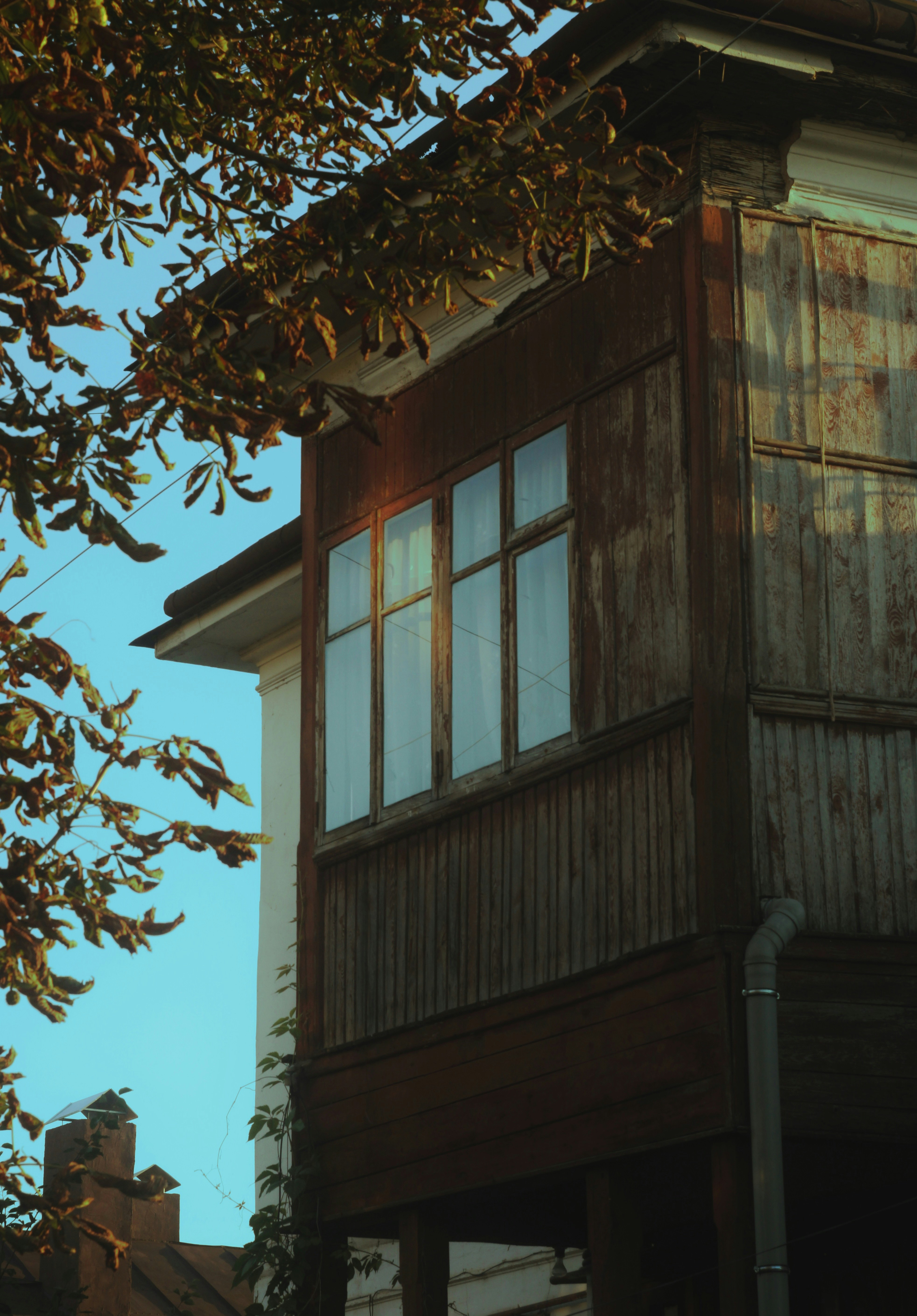 Photo by mineral_of_demon