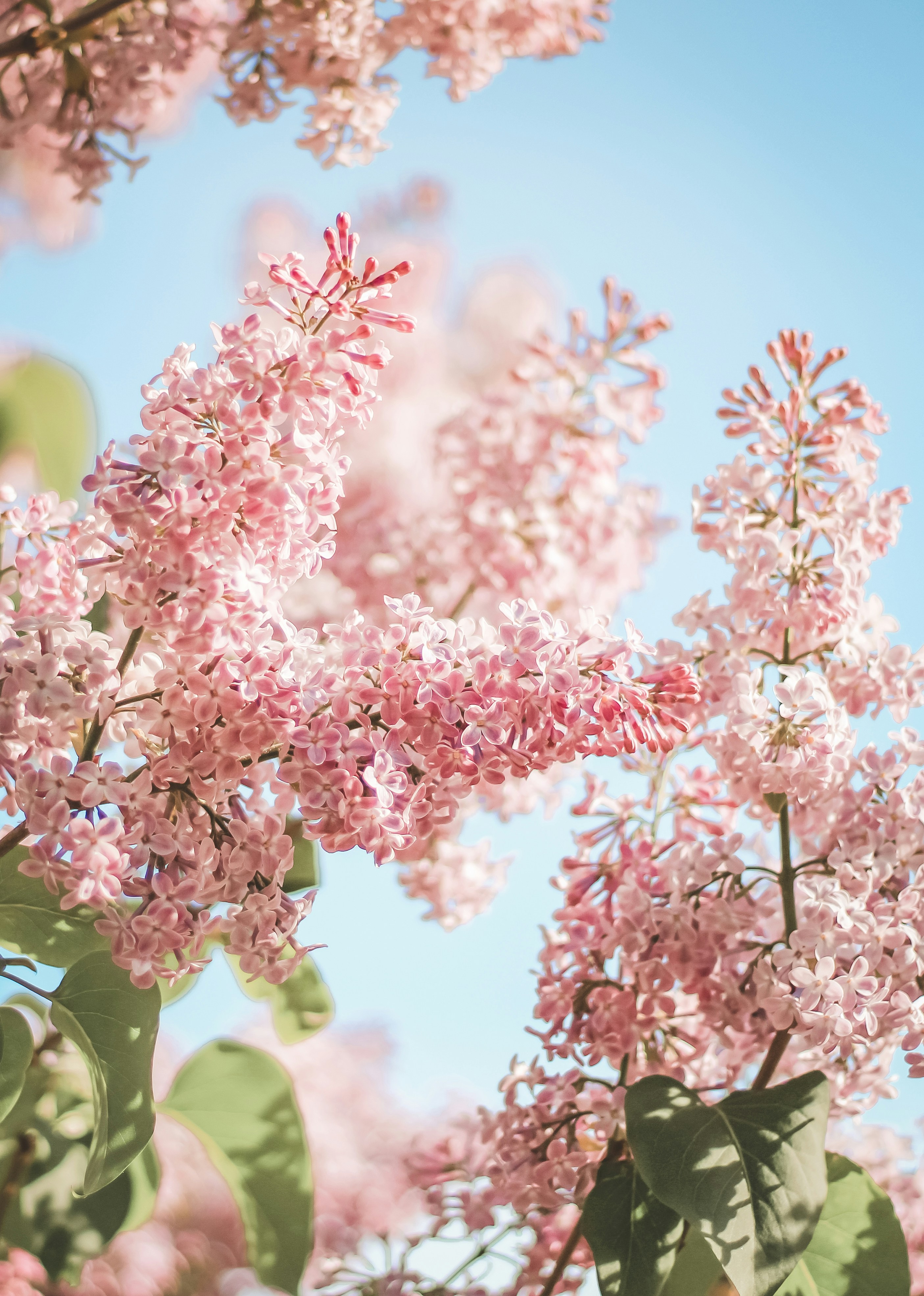 Photo by mineral_of_demon