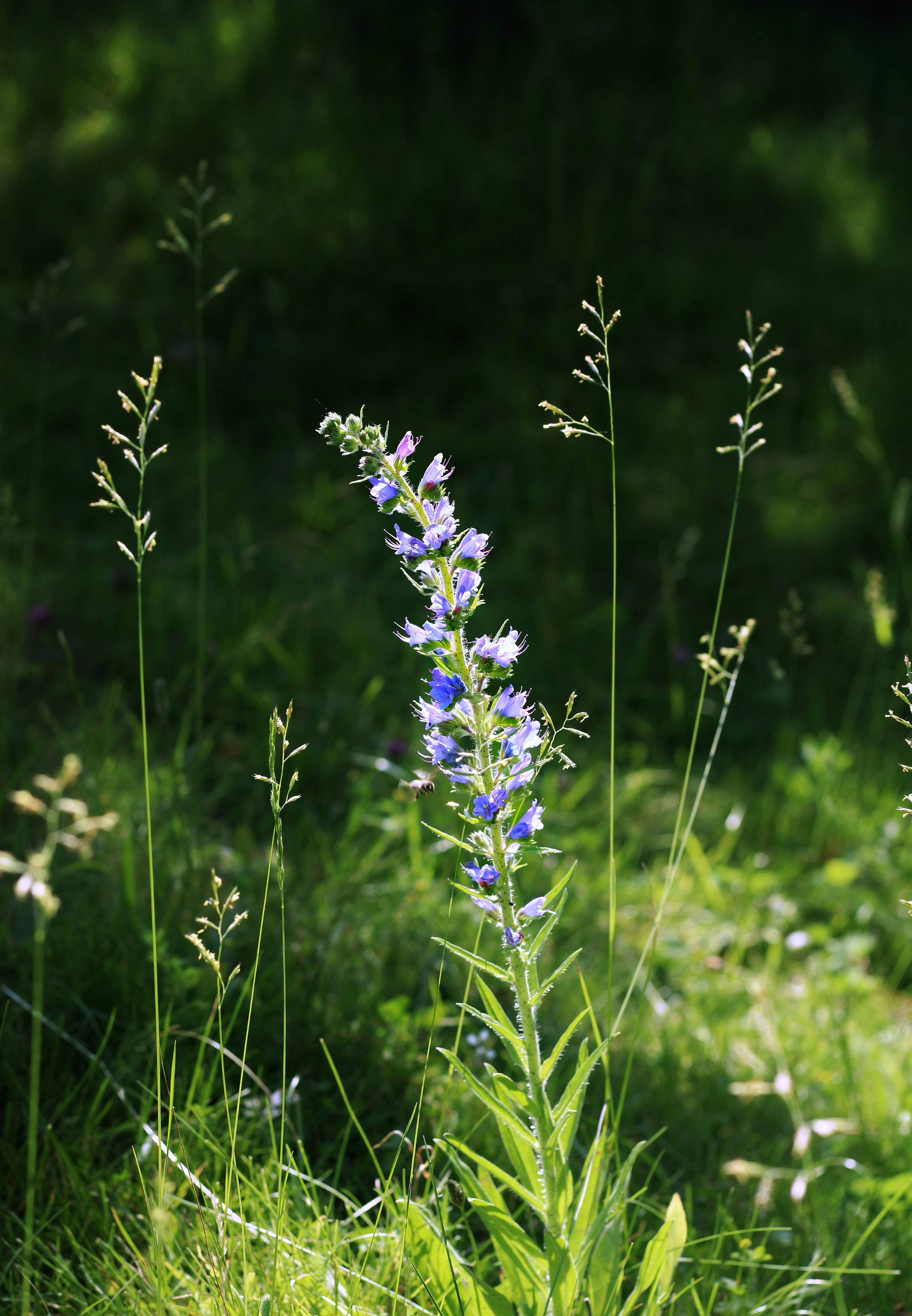 Photo by mineral_of_demon