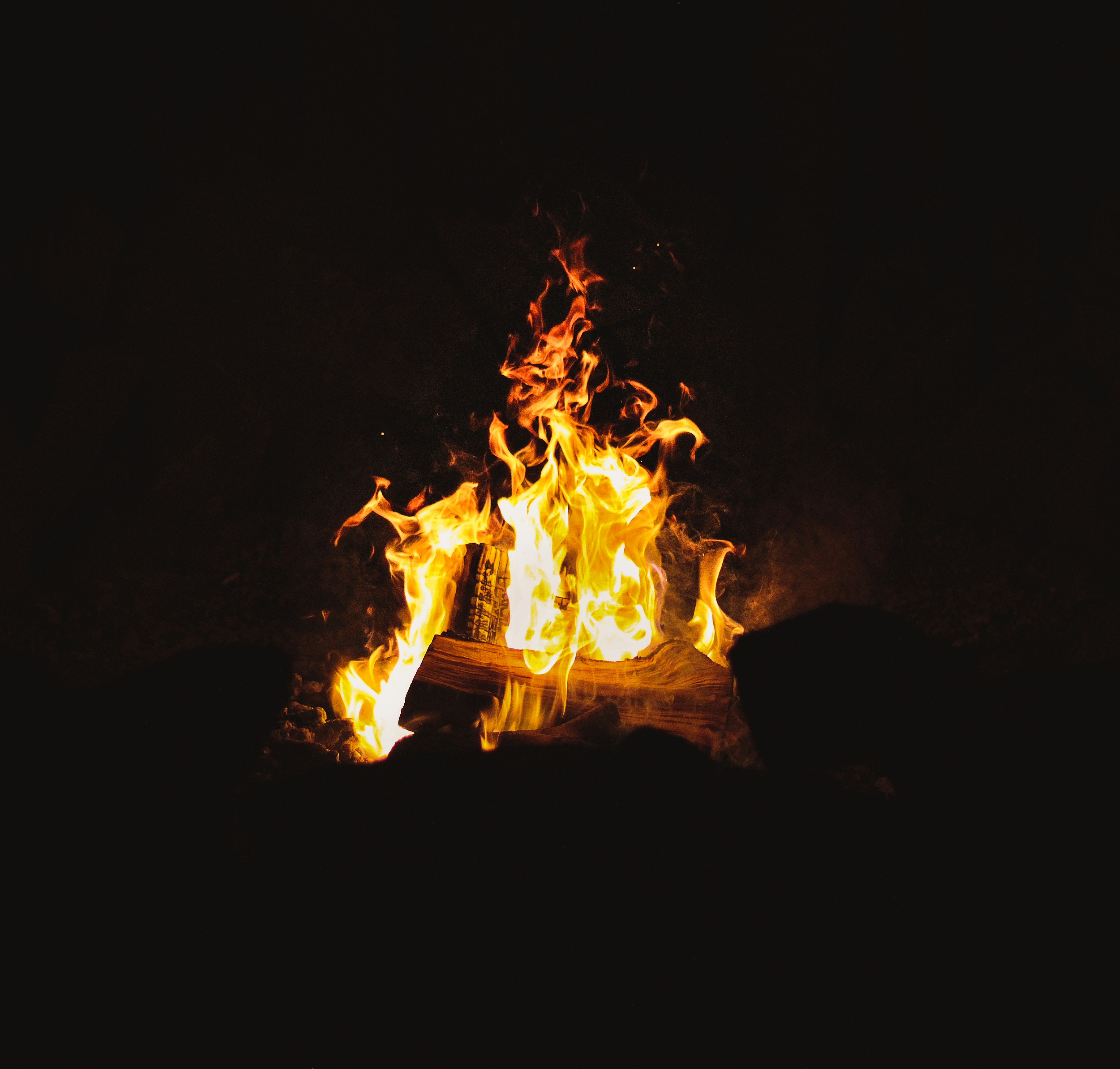 Photo by mineral_of_demon