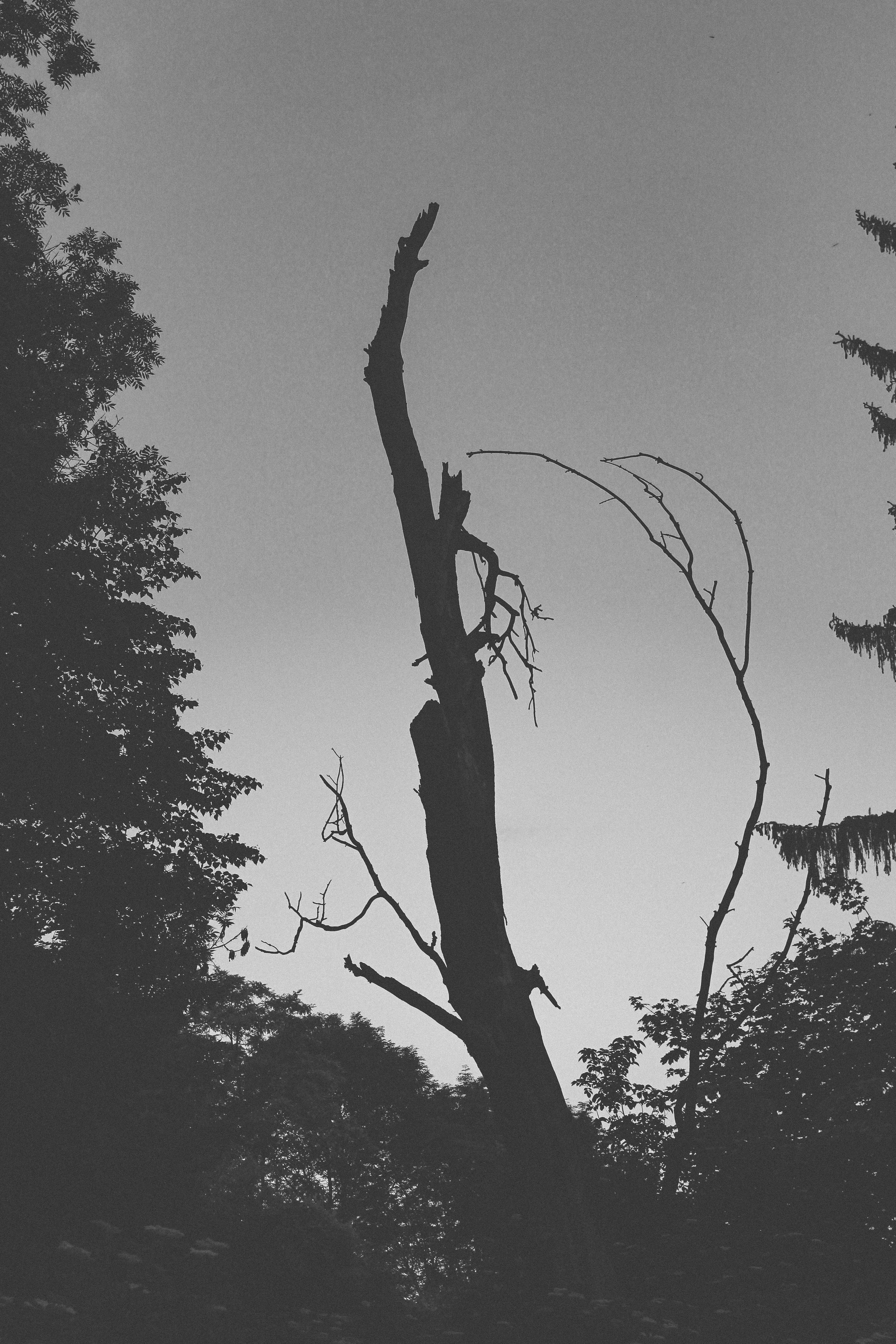 Photo by mineral_of_demon