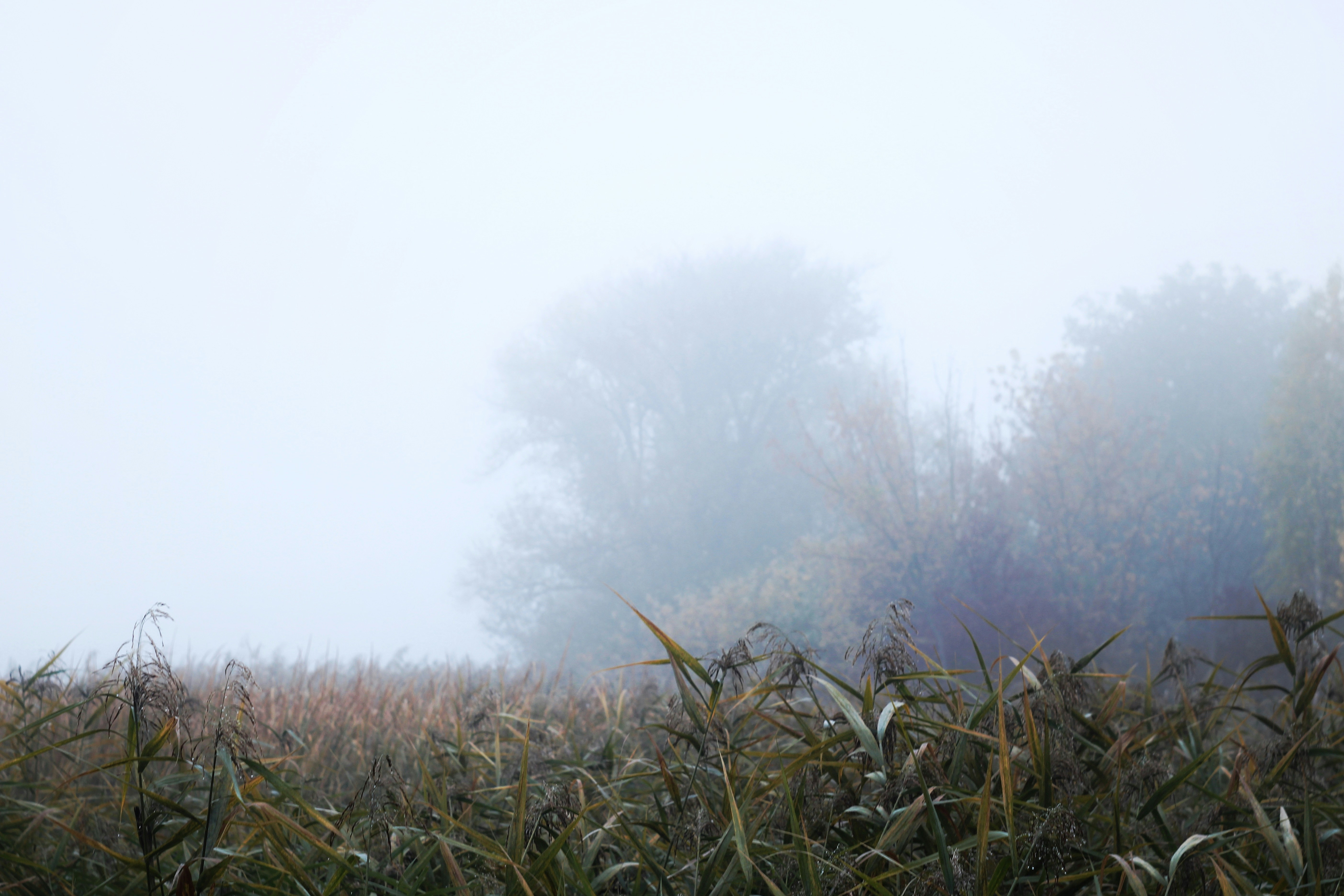 Photo by mineral_of_demon