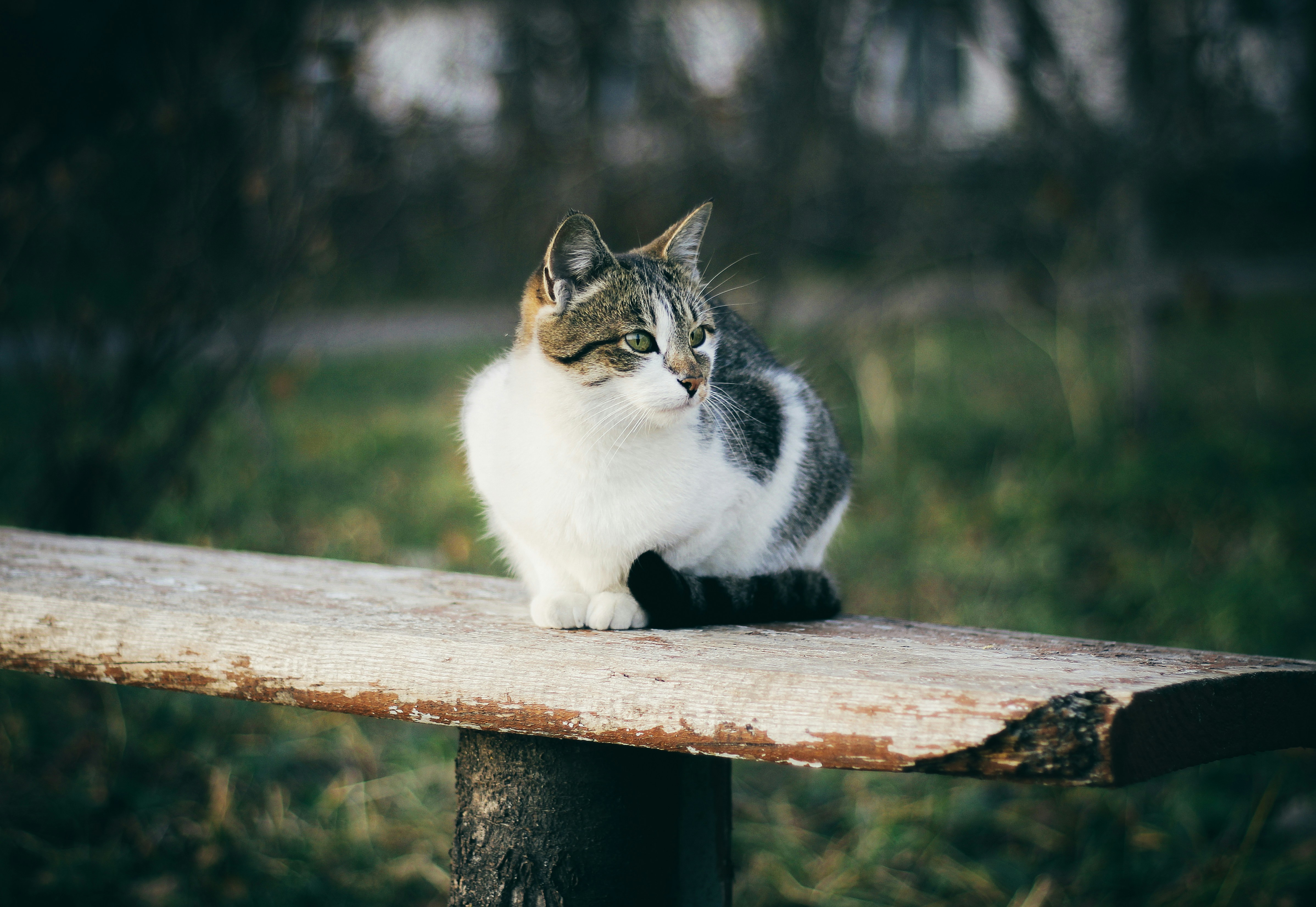 Photo by mineral_of_demon