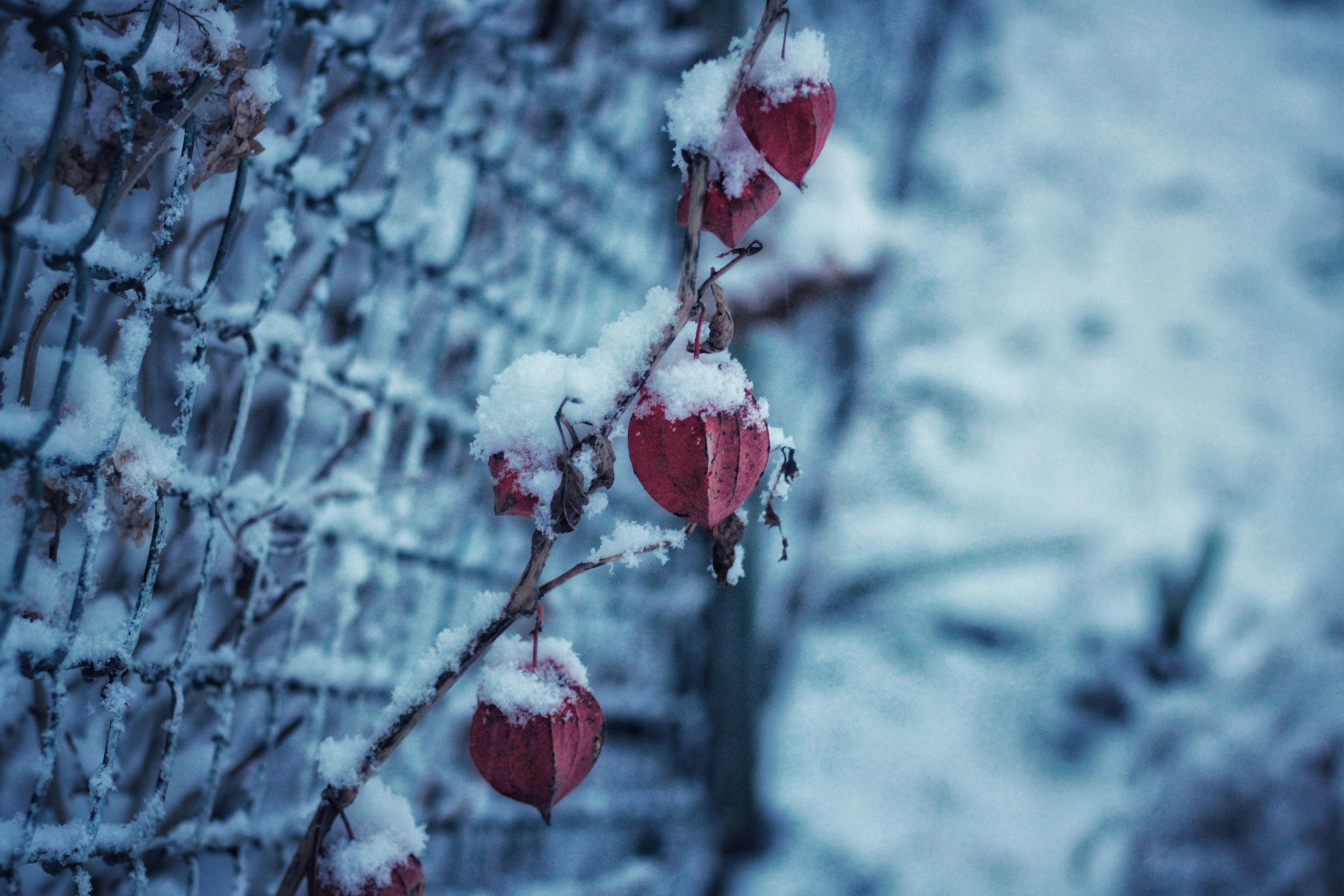 Photo by mineral_of_demon