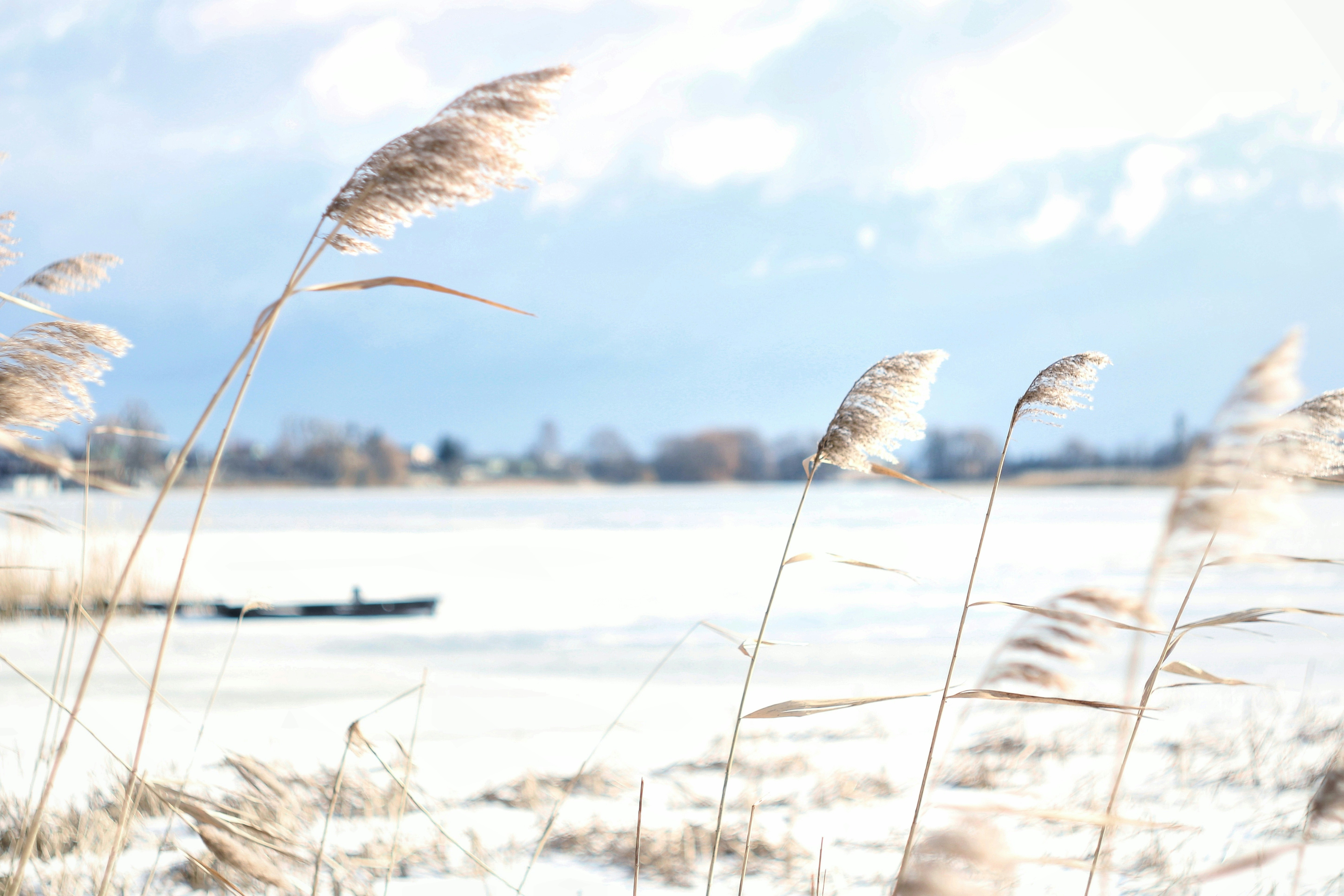 Photo by mineral_of_demon