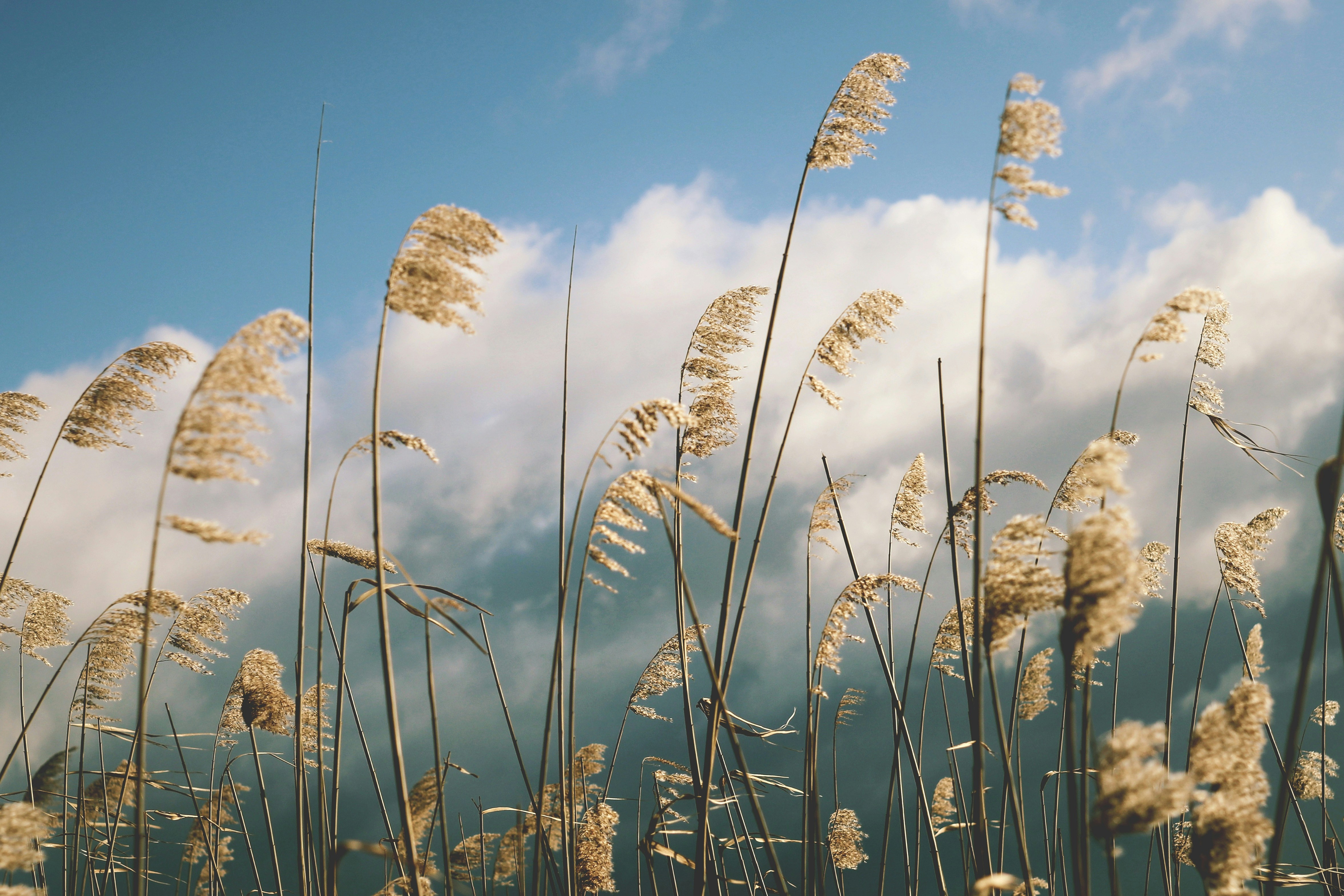 Photo by mineral_of_demon