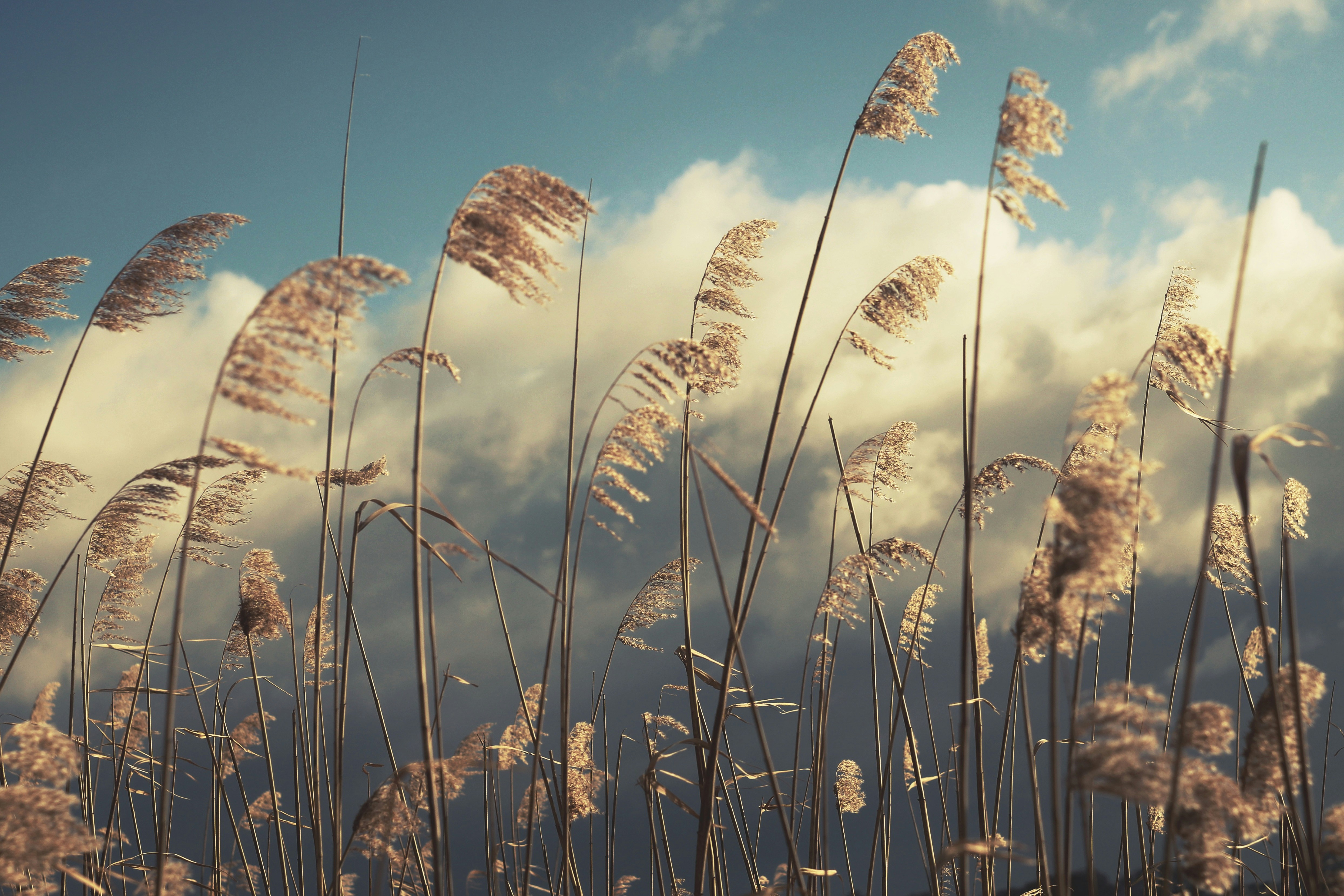 Photo by mineral_of_demon