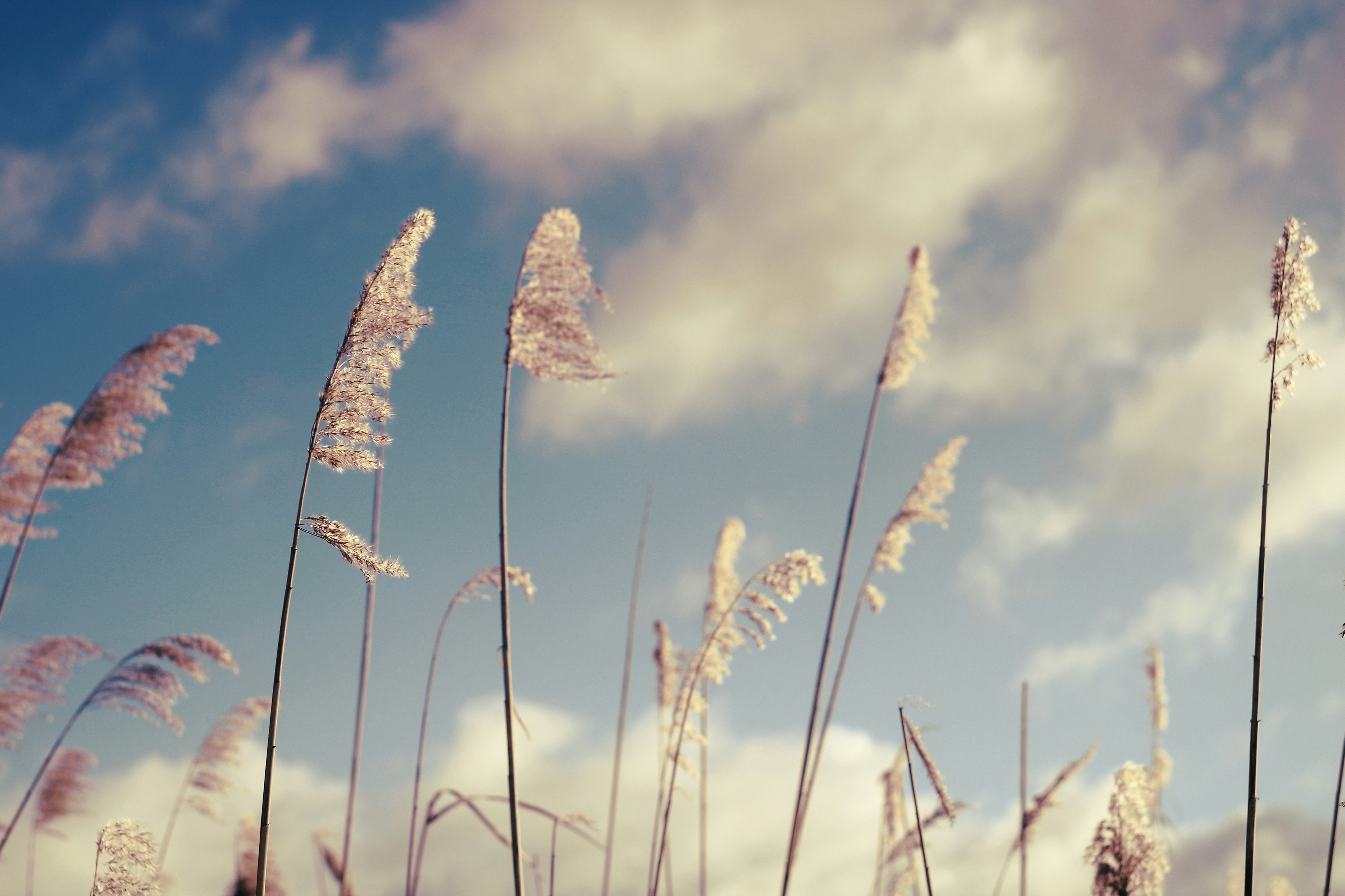 Photo by mineral_of_demon