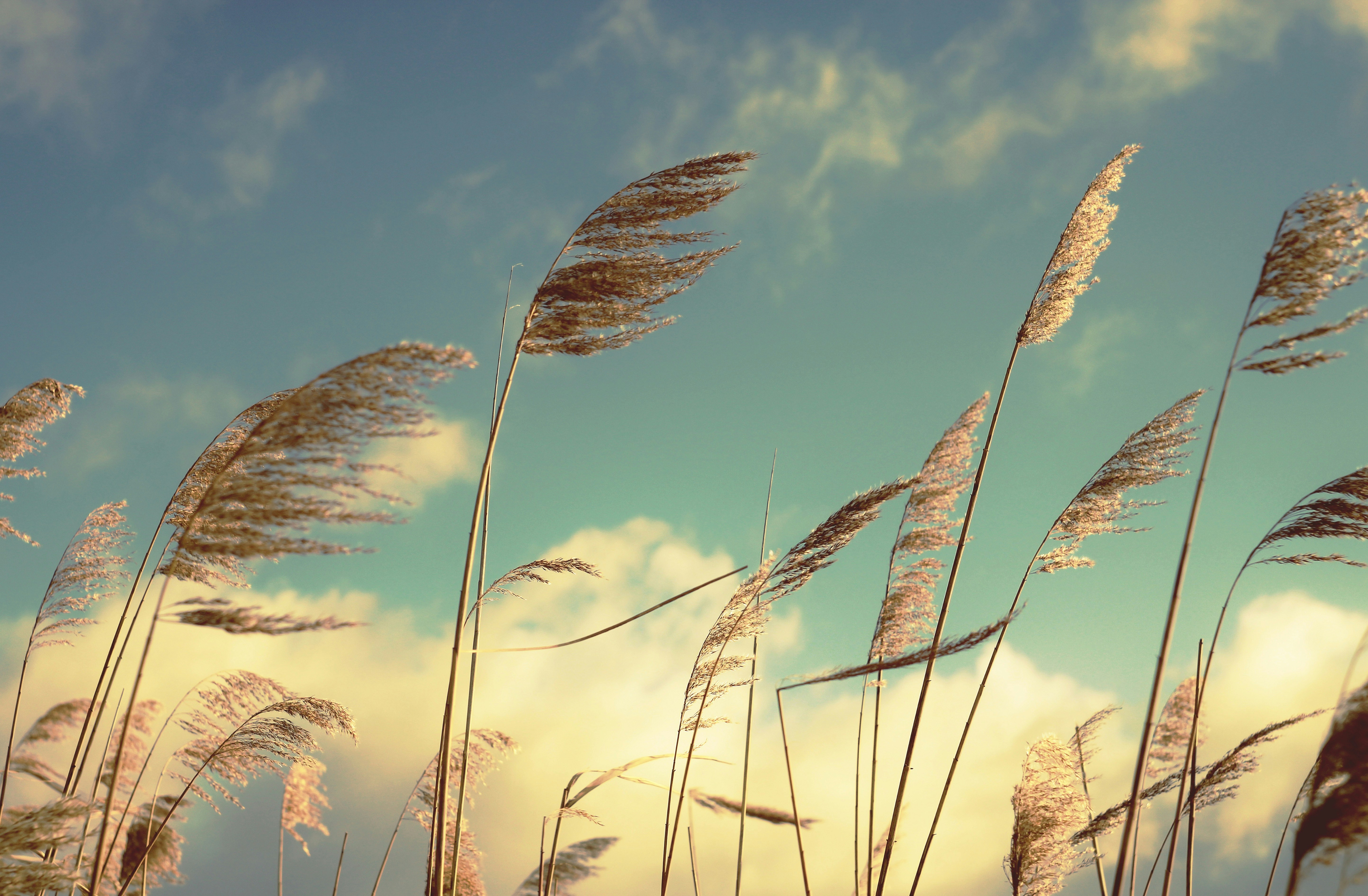 Photo by mineral_of_demon