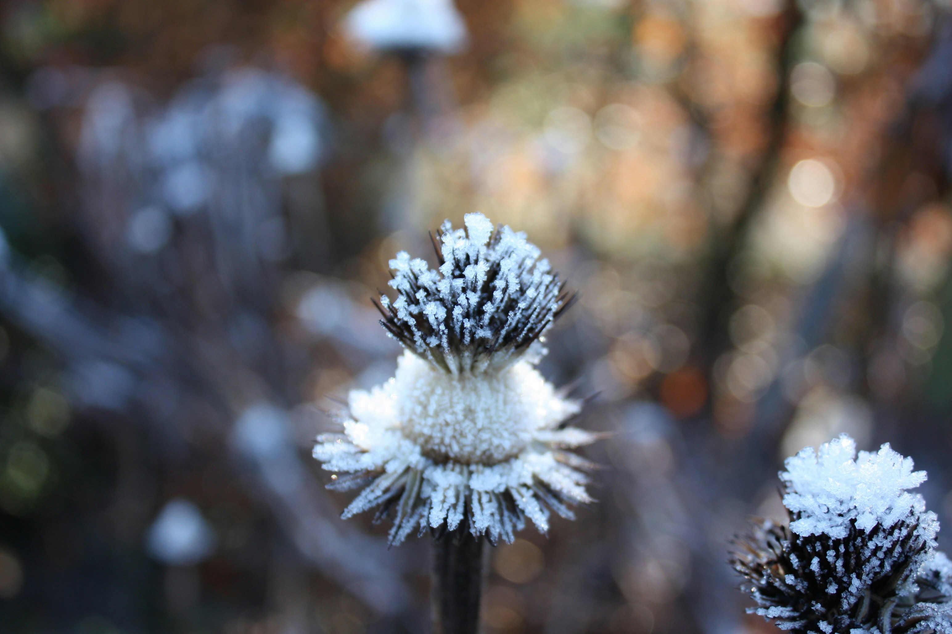 Photo by s_haigh2010