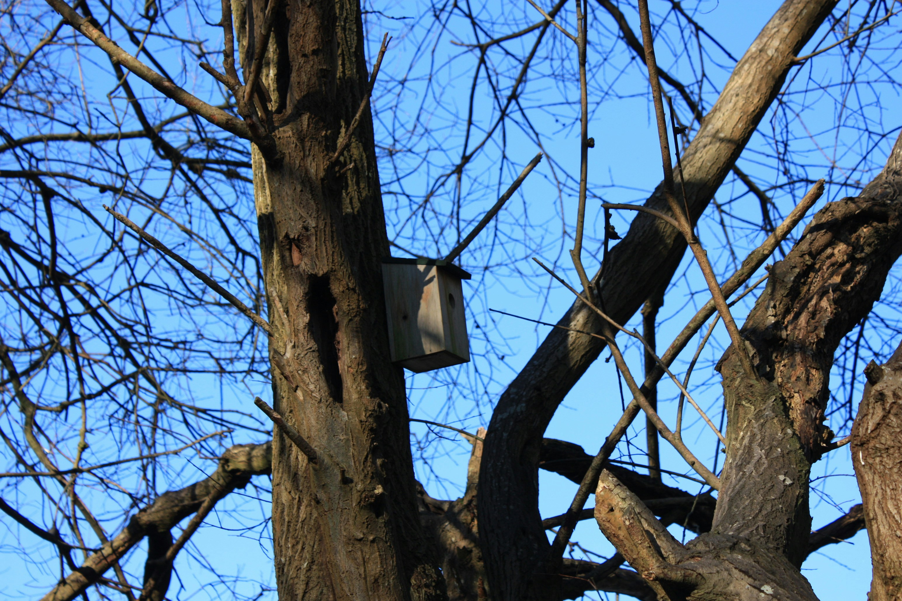 Photo by s_haigh2010