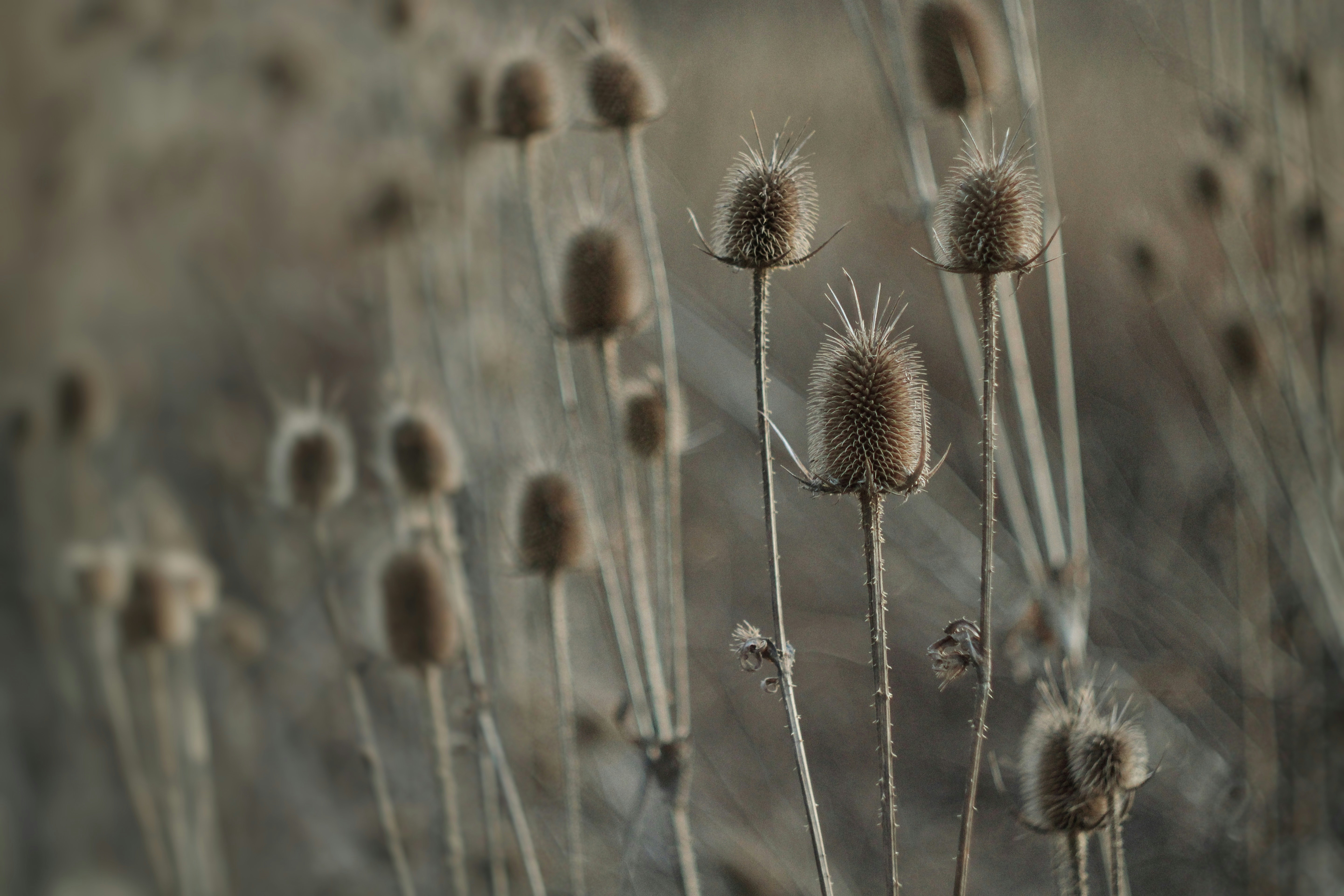 Photo by mineral_of_demon