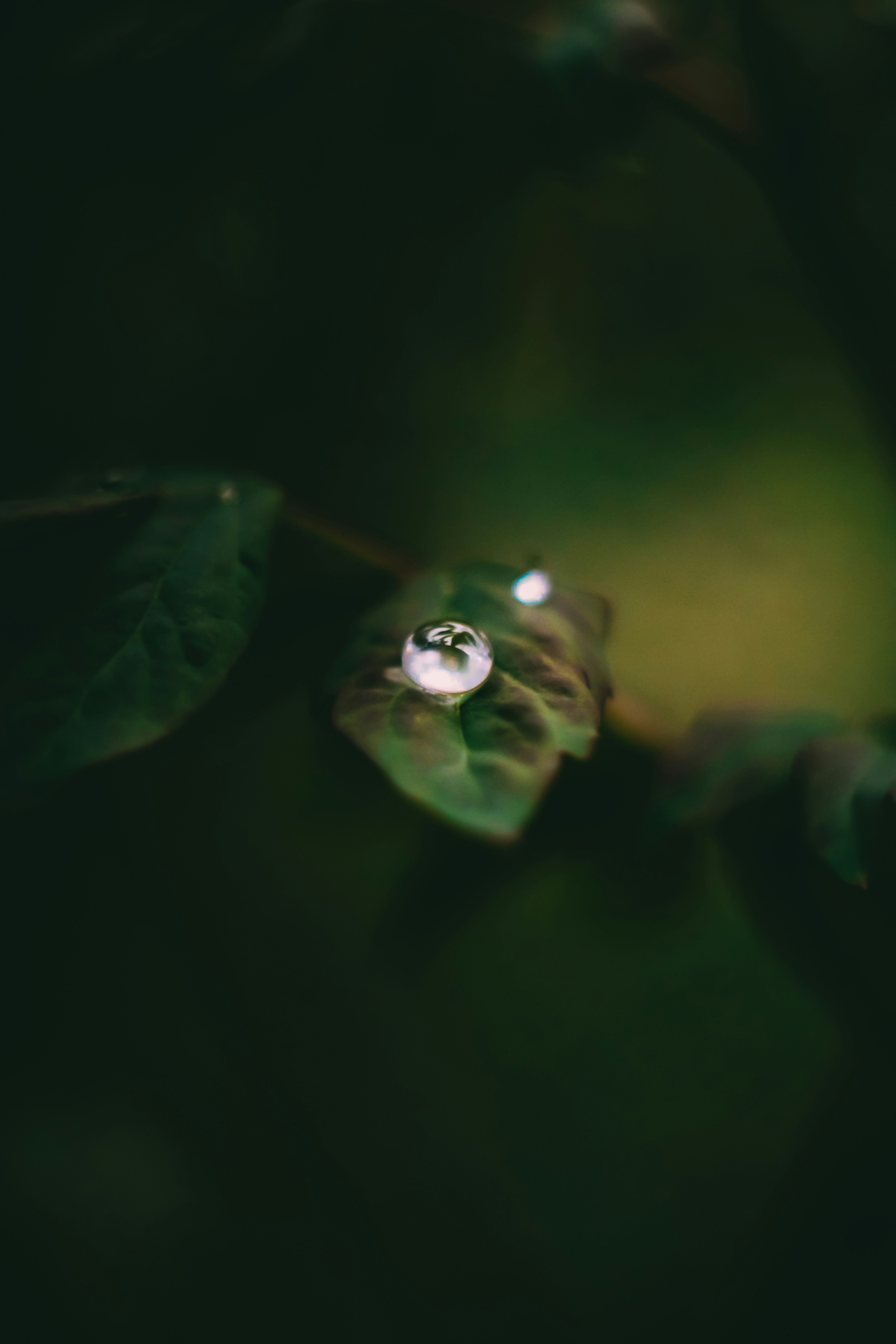 Photo by mineral_of_demon