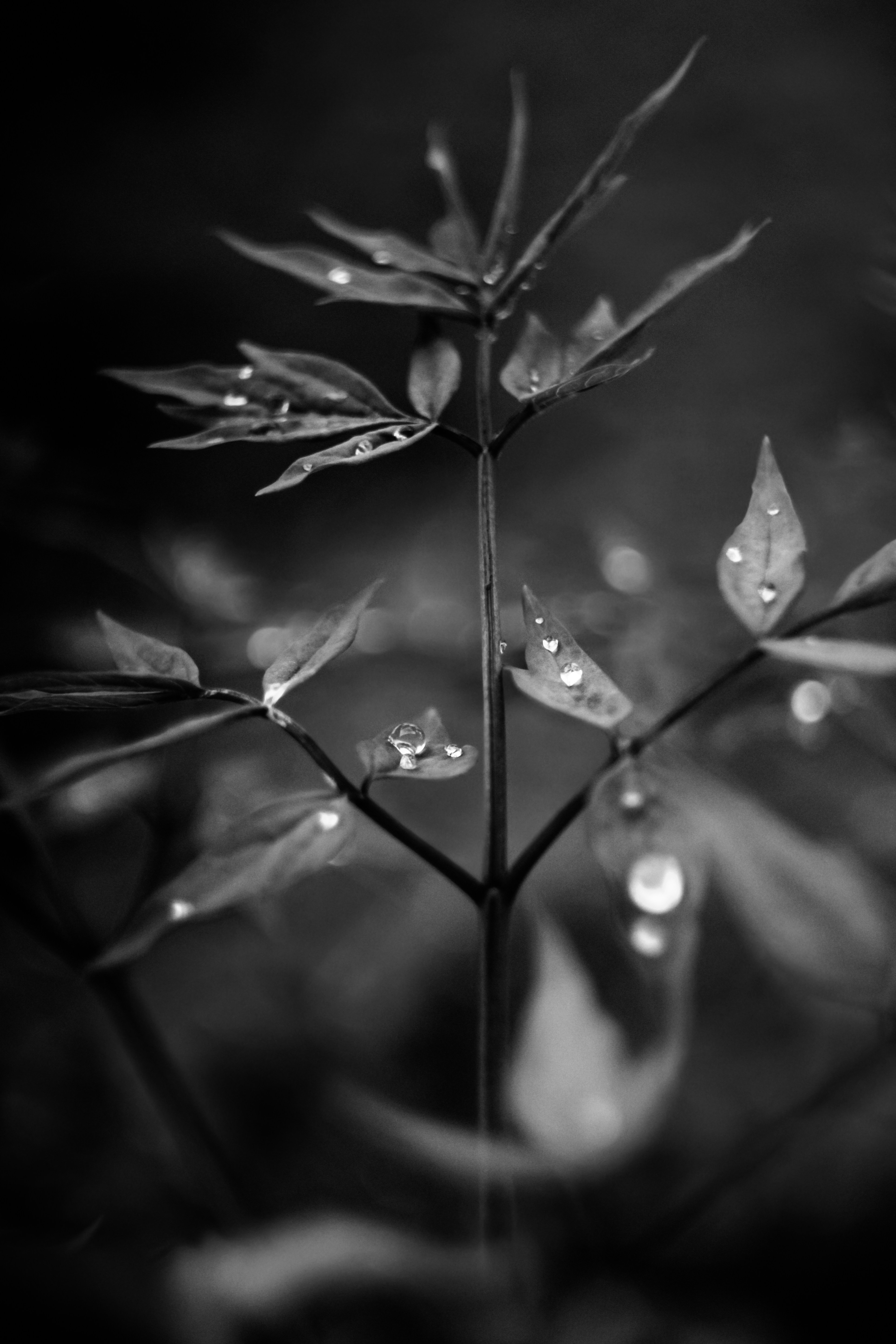 Photo by mineral_of_demon