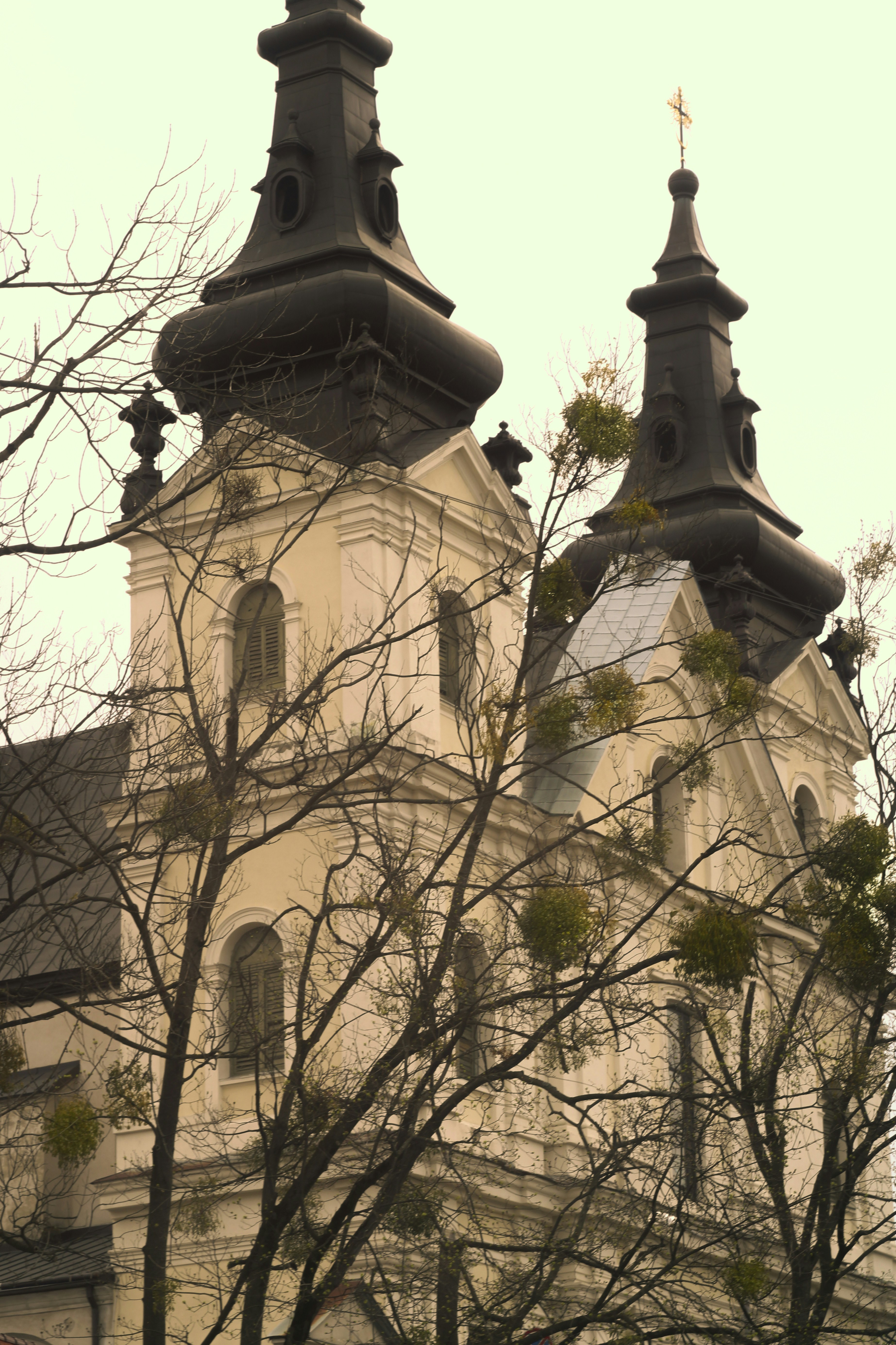 Photo by mineral_of_demon