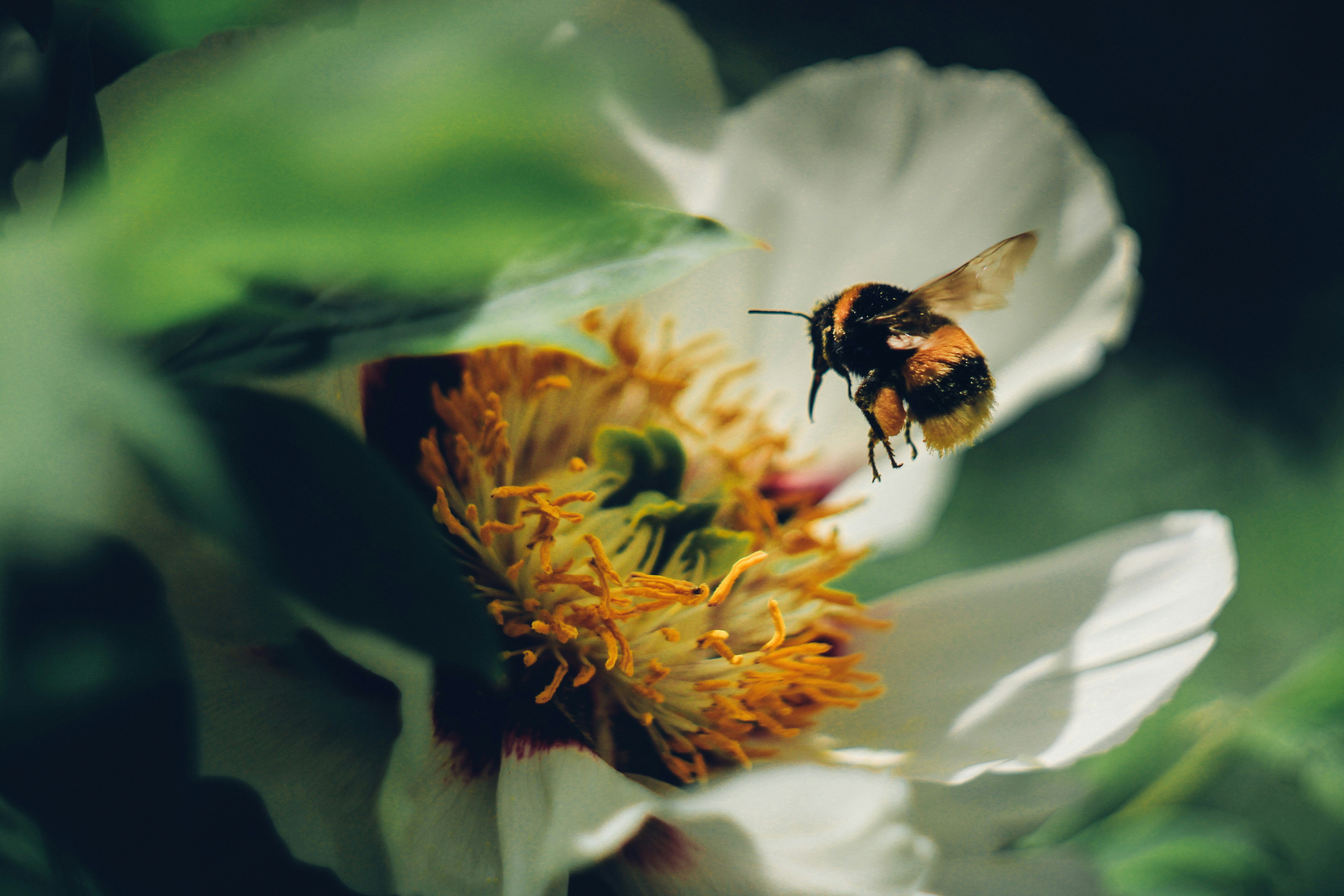 Photo by mineral_of_demon